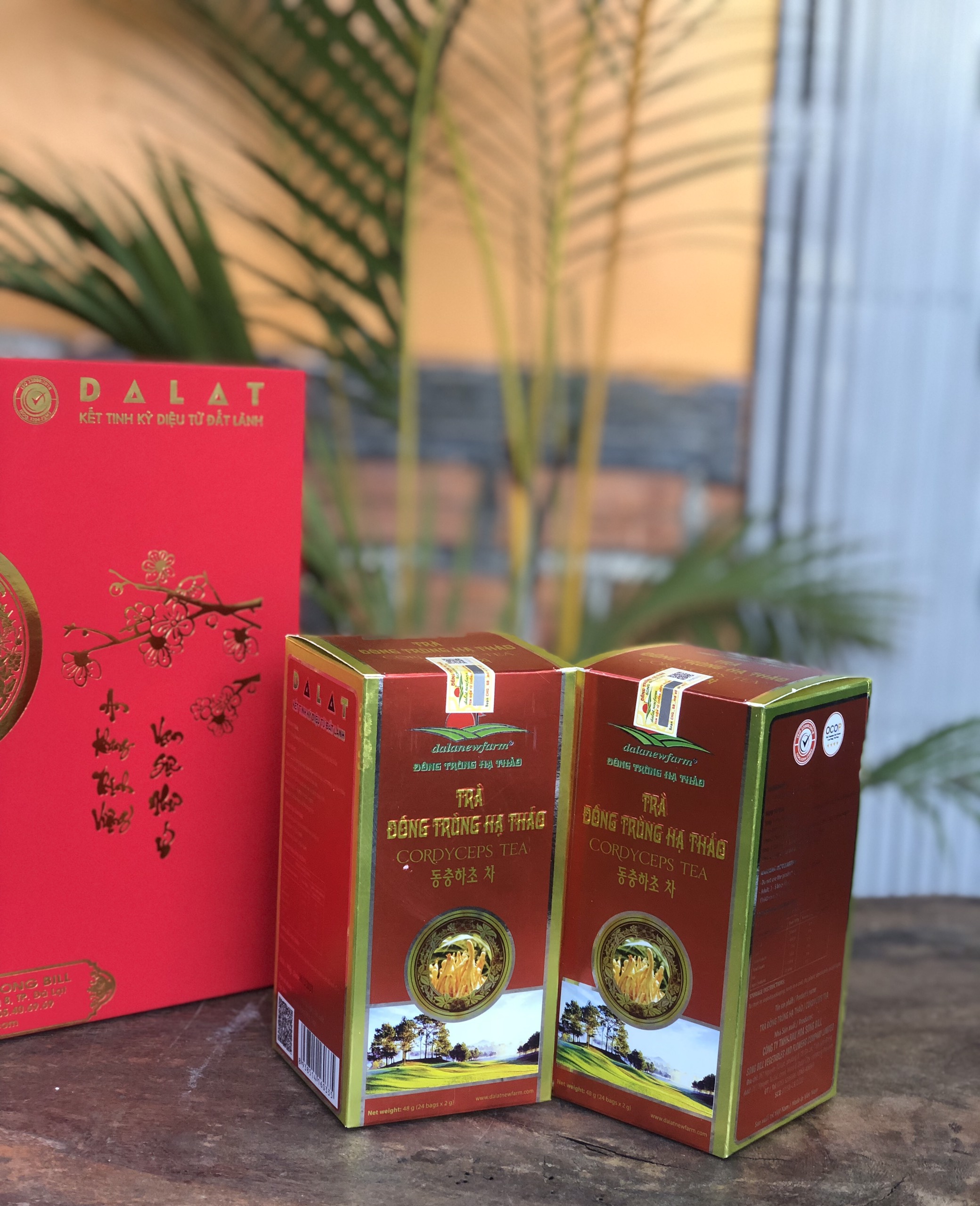 COMBO Qùa Tết Trà Đông Trùng Hạ Thảo