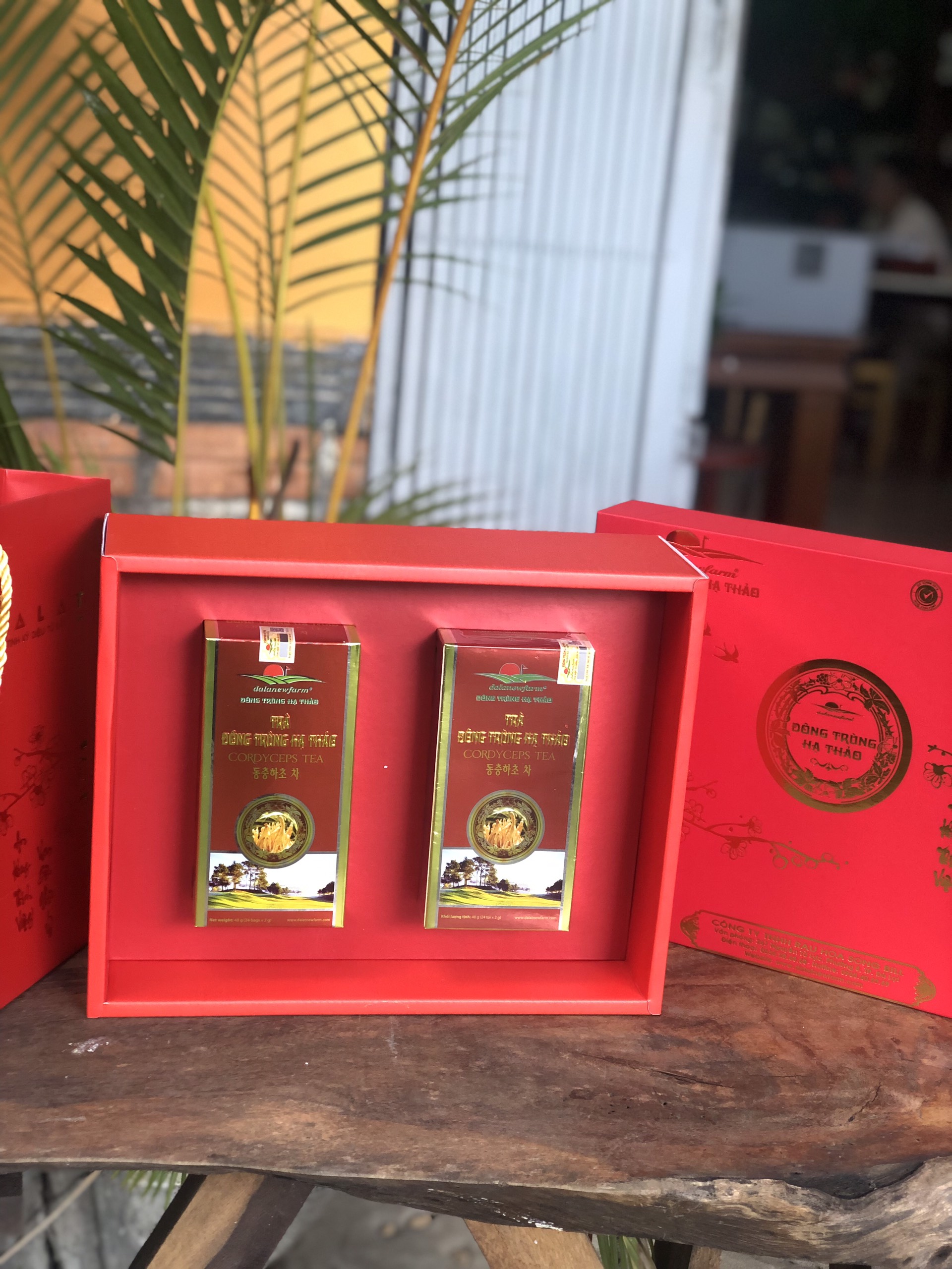 COMBO Qùa Tết Trà Đông Trùng Hạ Thảo