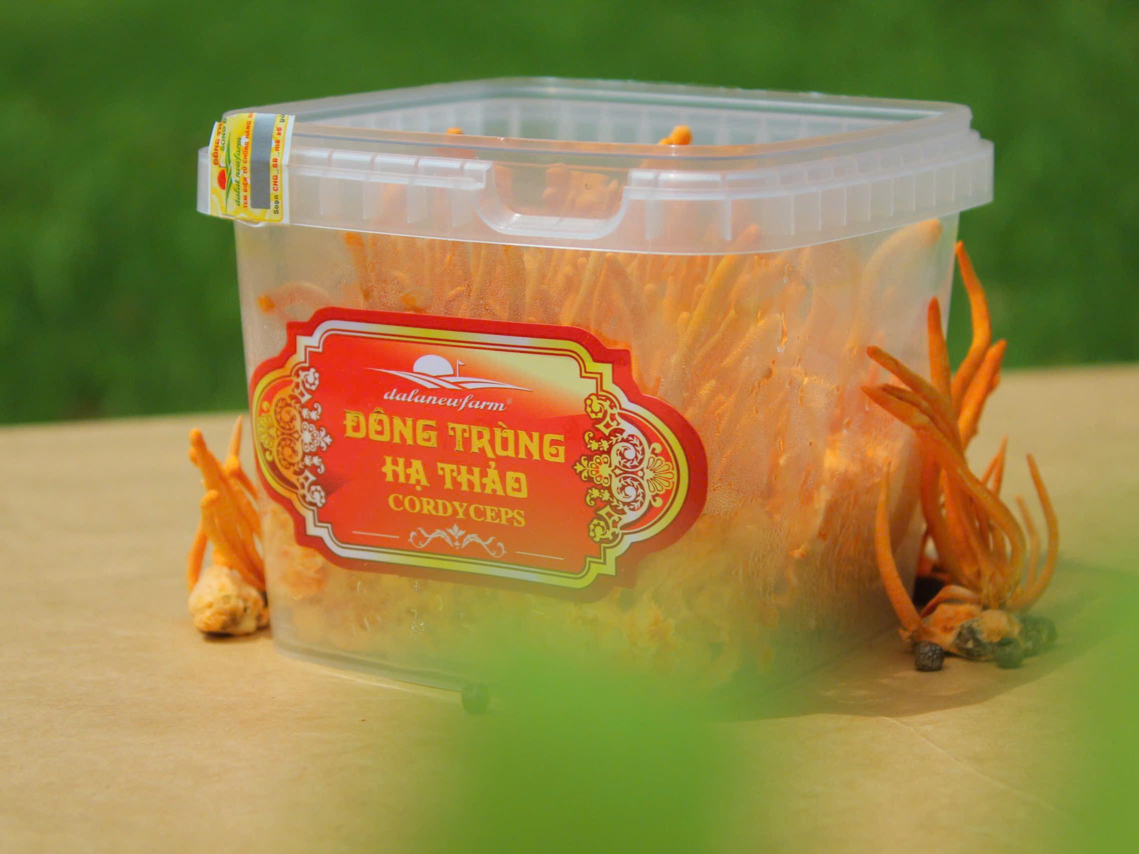 Đông Trùng Hạ Thảo Tươi