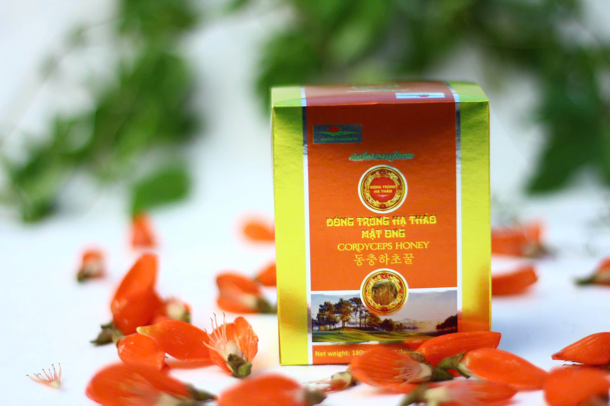 Đông Trùng Hạ Thảo Mật Ong