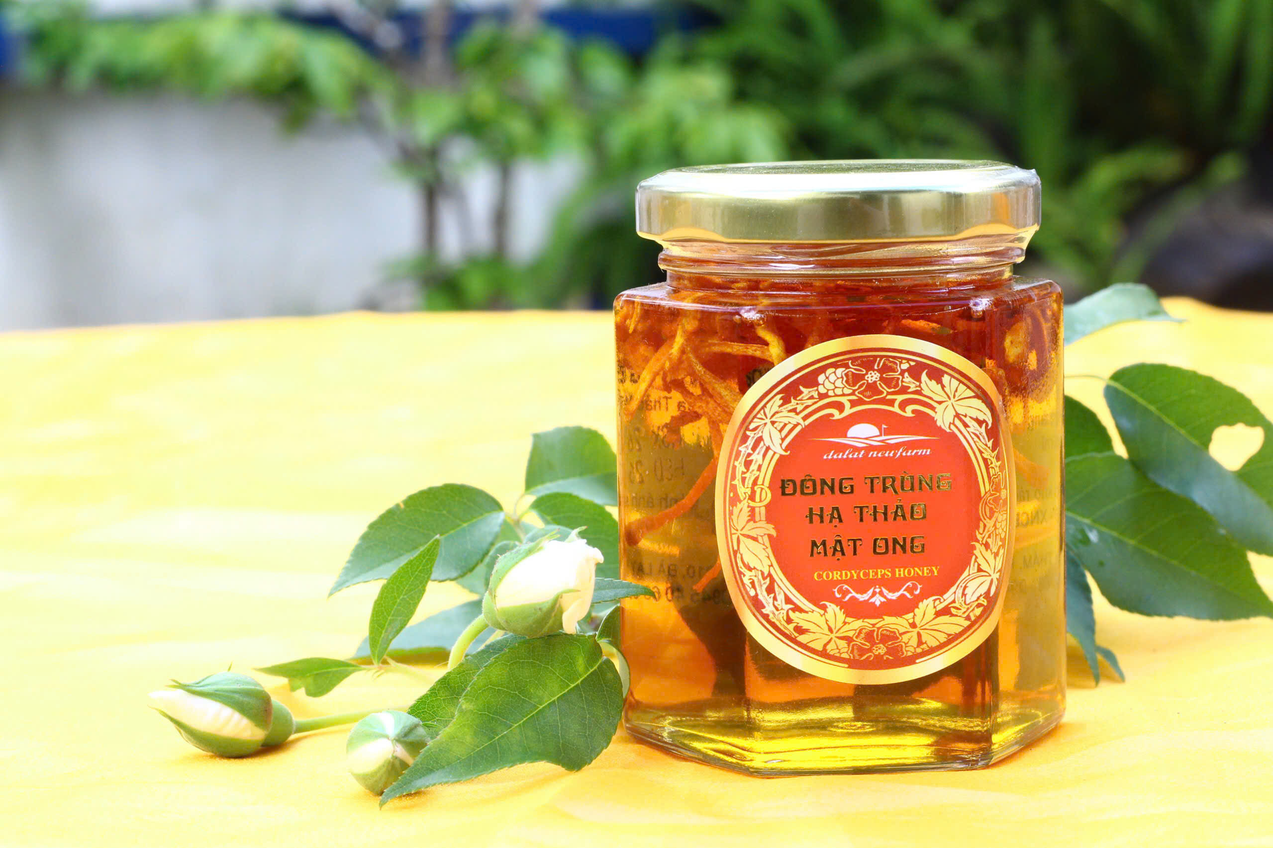 Đông Trùng Hạ Thảo Mật Ong