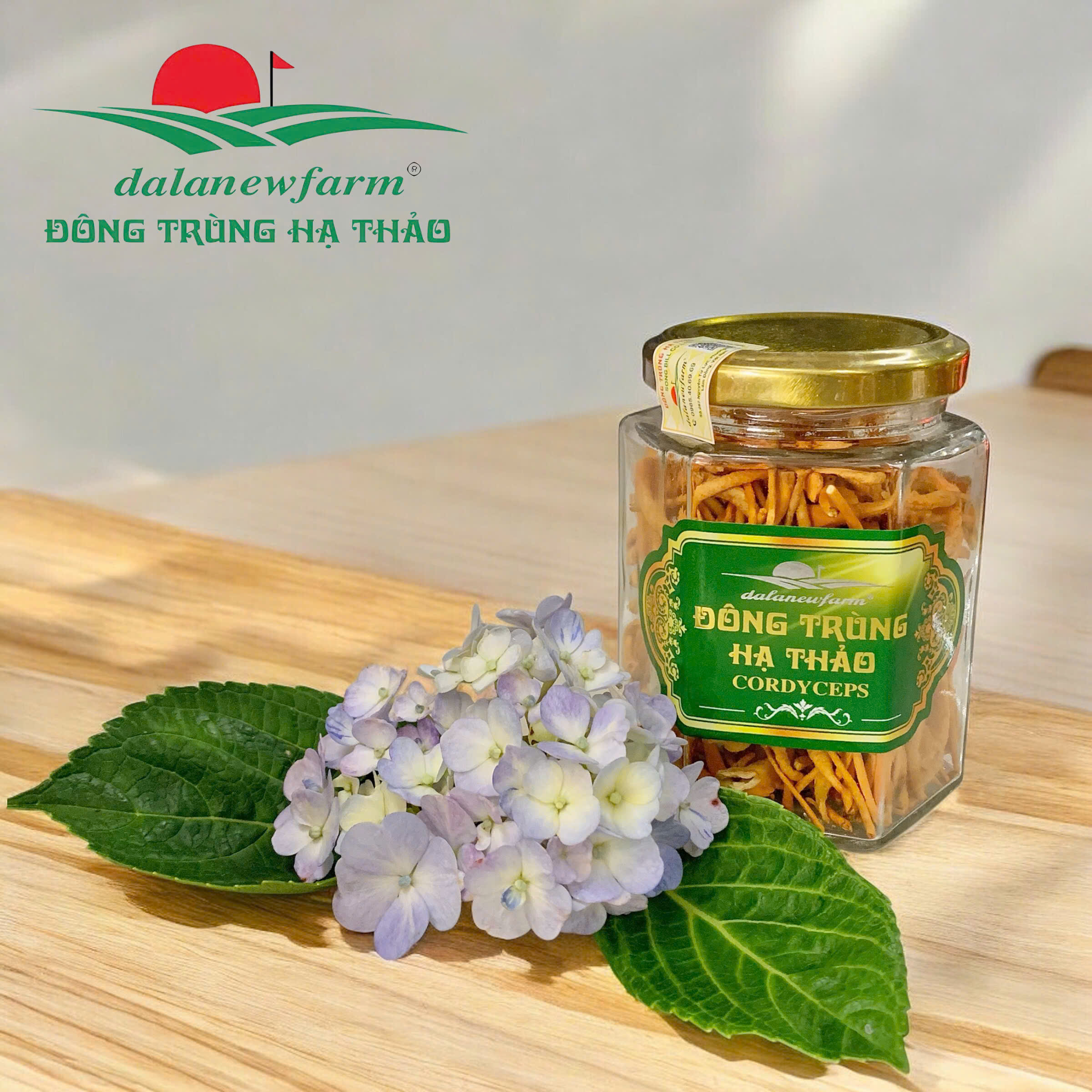 Đông Trùng Hạ Thảo Sấy Thăng Hoa SIZE 4 Dalanewfarm