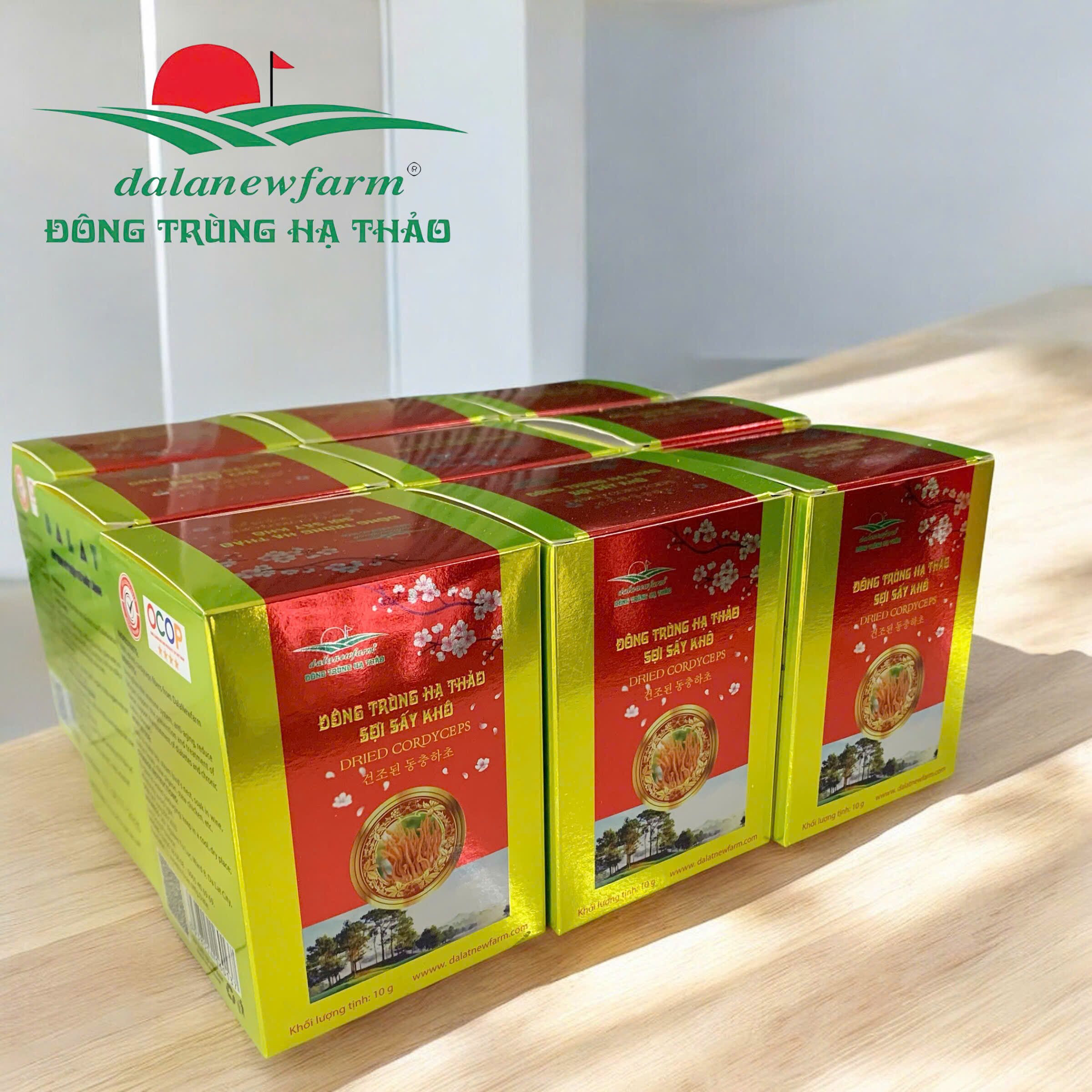 Đông Trùng Hạ Thảo Sấy Thăng Hoa SIZE 3 Dalanewfarm