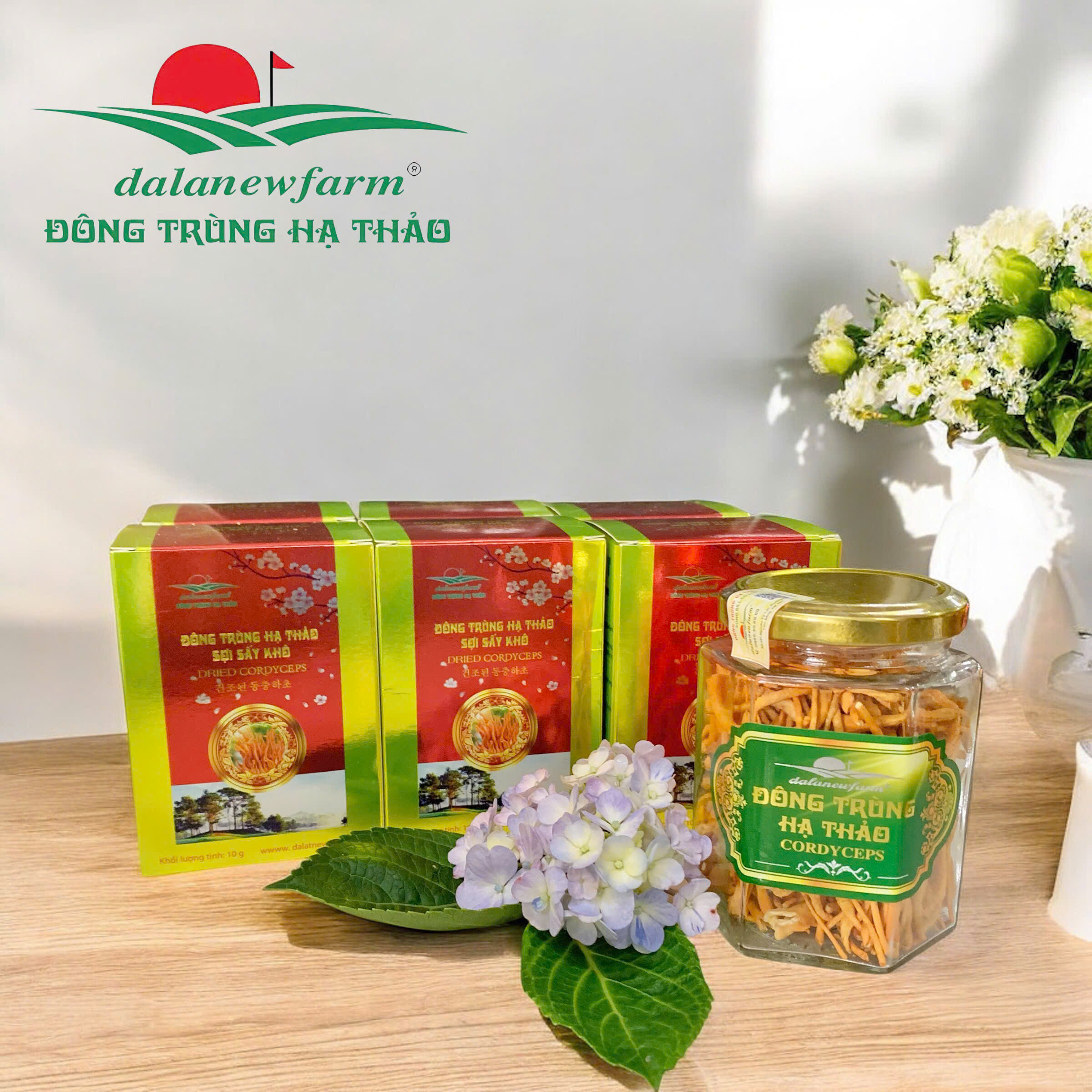 Đông Trùng Hạ Thảo Sấy Thăng Hoa SIZE 4 Dalanewfarm