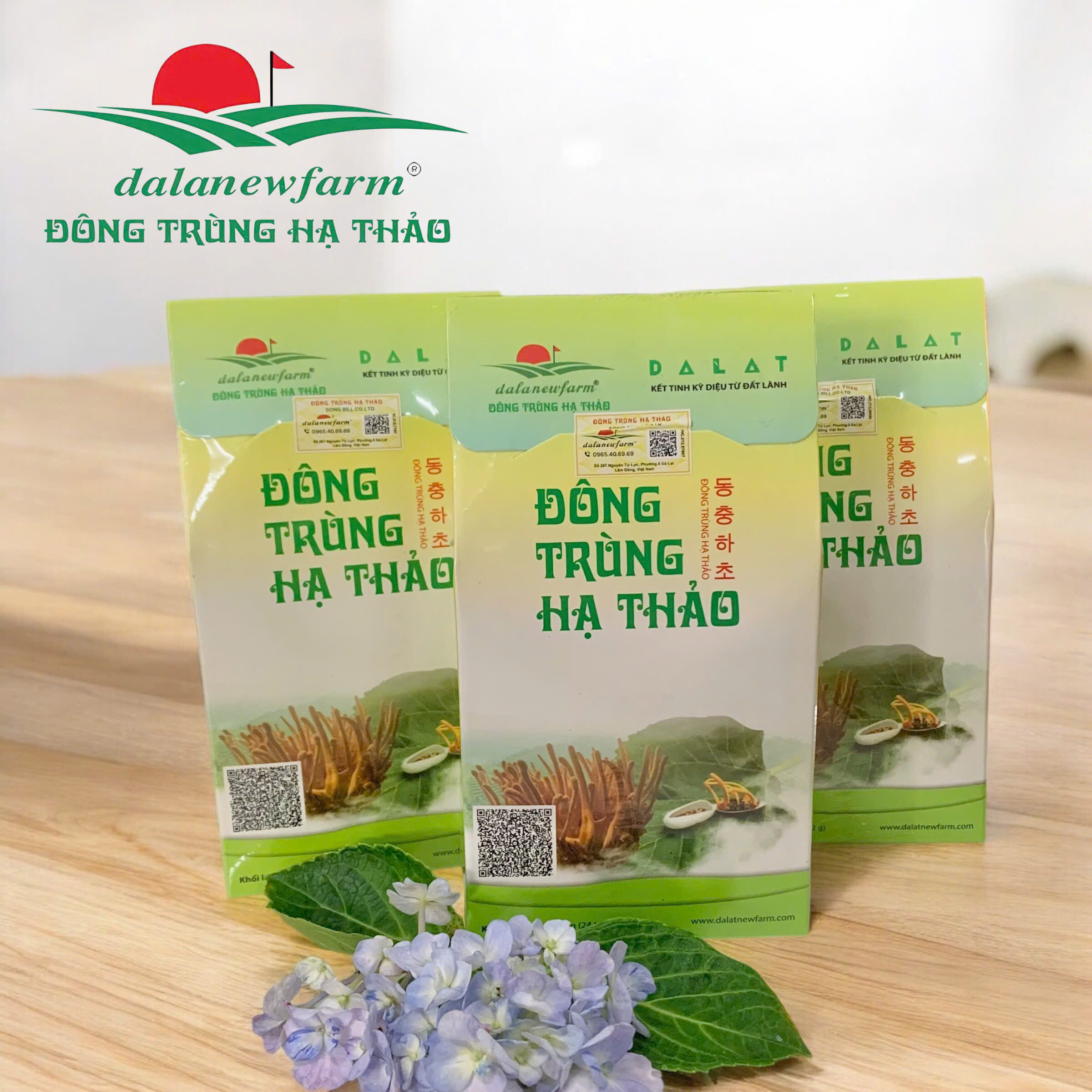 Trà đông trùng hạ thảo hộp xanh Dalanewfarm