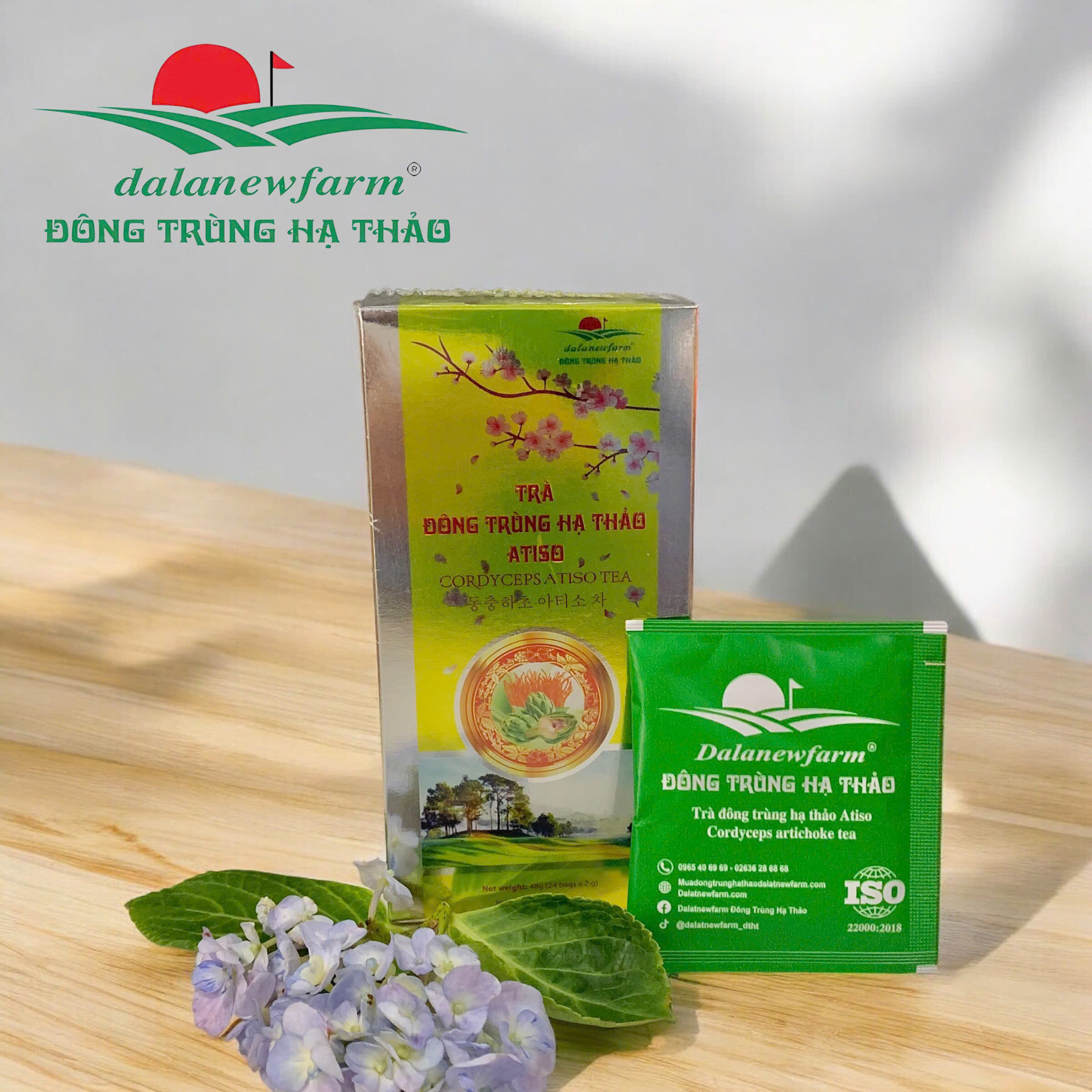Trà đông trùng hạ thảo atiso Dalafarm | Hỗ trợ tăng cường miễn dịch và giải độc