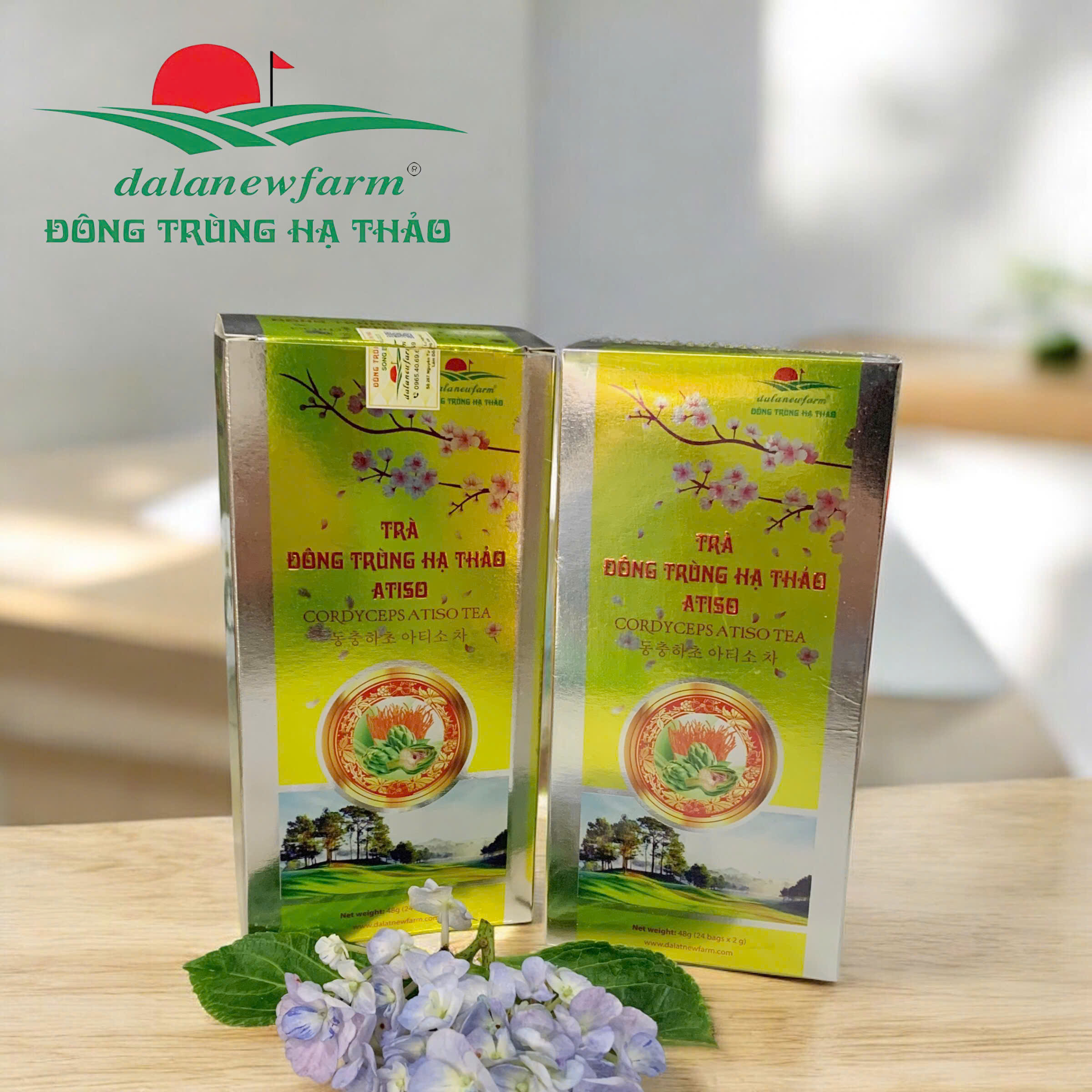 Trà đông trùng hạ thảo atiso Dalafarm | Hỗ trợ tăng cường miễn dịch và giải độc