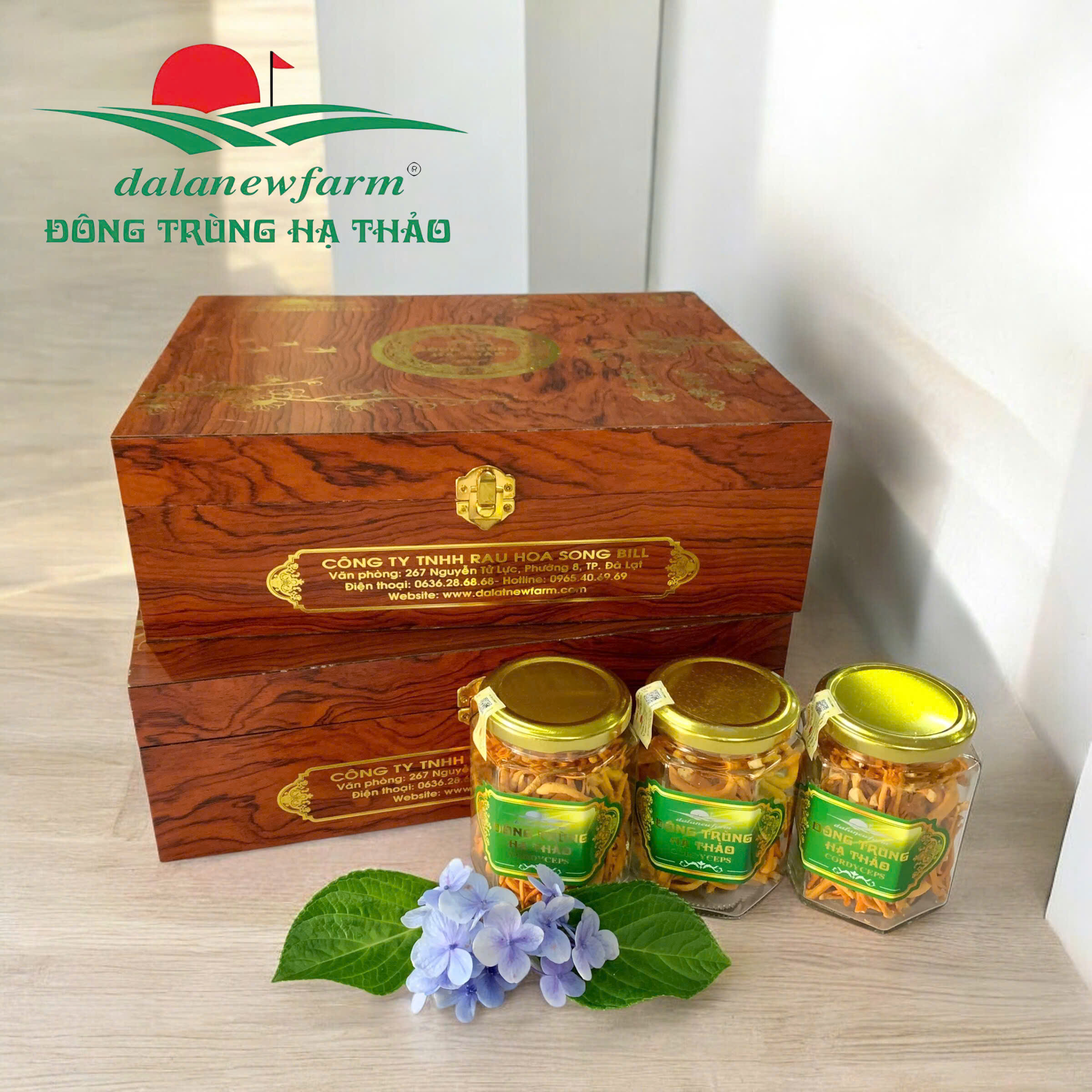 [ SET QUÀ TẶNG ] Đông trùng hạ thảo sấy thăng hoa ( Size 4 ) Dalatnewfarm