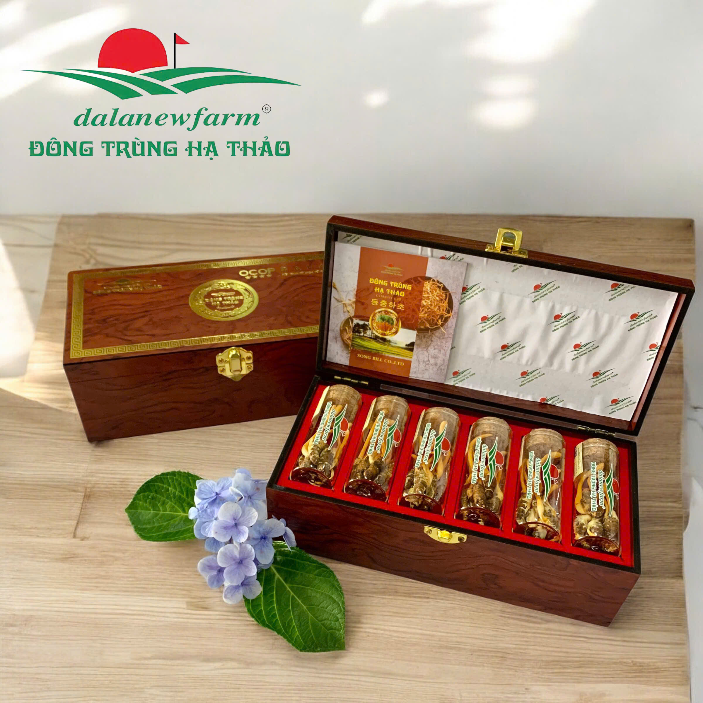 [ SET QUÀ TẶNG ] Hộp nhộng Đông trùng hạ thảo Dalatnewfarm (24 con)