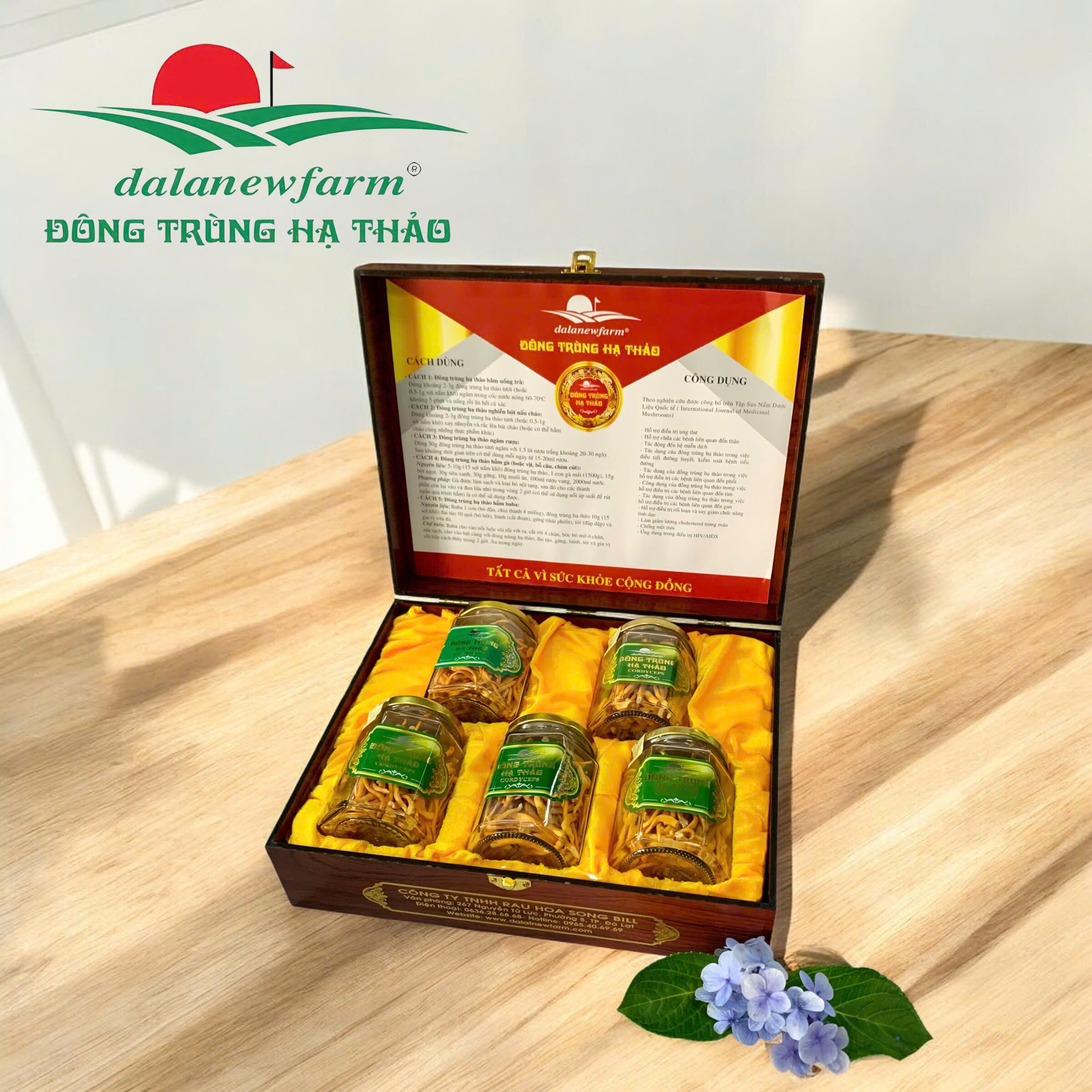 [ SET QUÀ TẶNG ] Đông trùng hạ thảo sấy thăng hoa ( Size 4 ) Dalatnewfarm