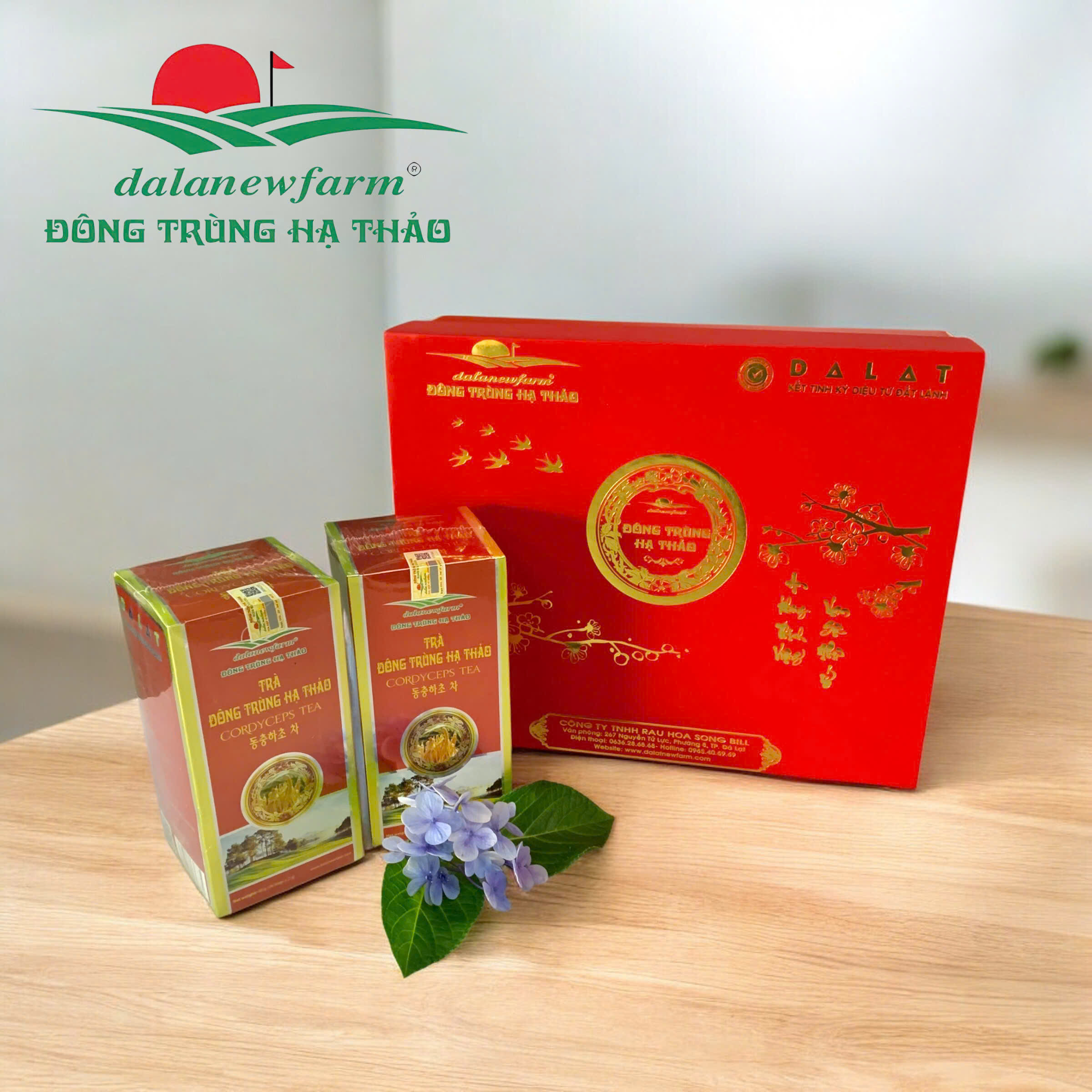 [ SET QUÀ TẶNG ] COMBO 2 Hộp trà đông trùng hạ thảo đỏ Dalanewfarm