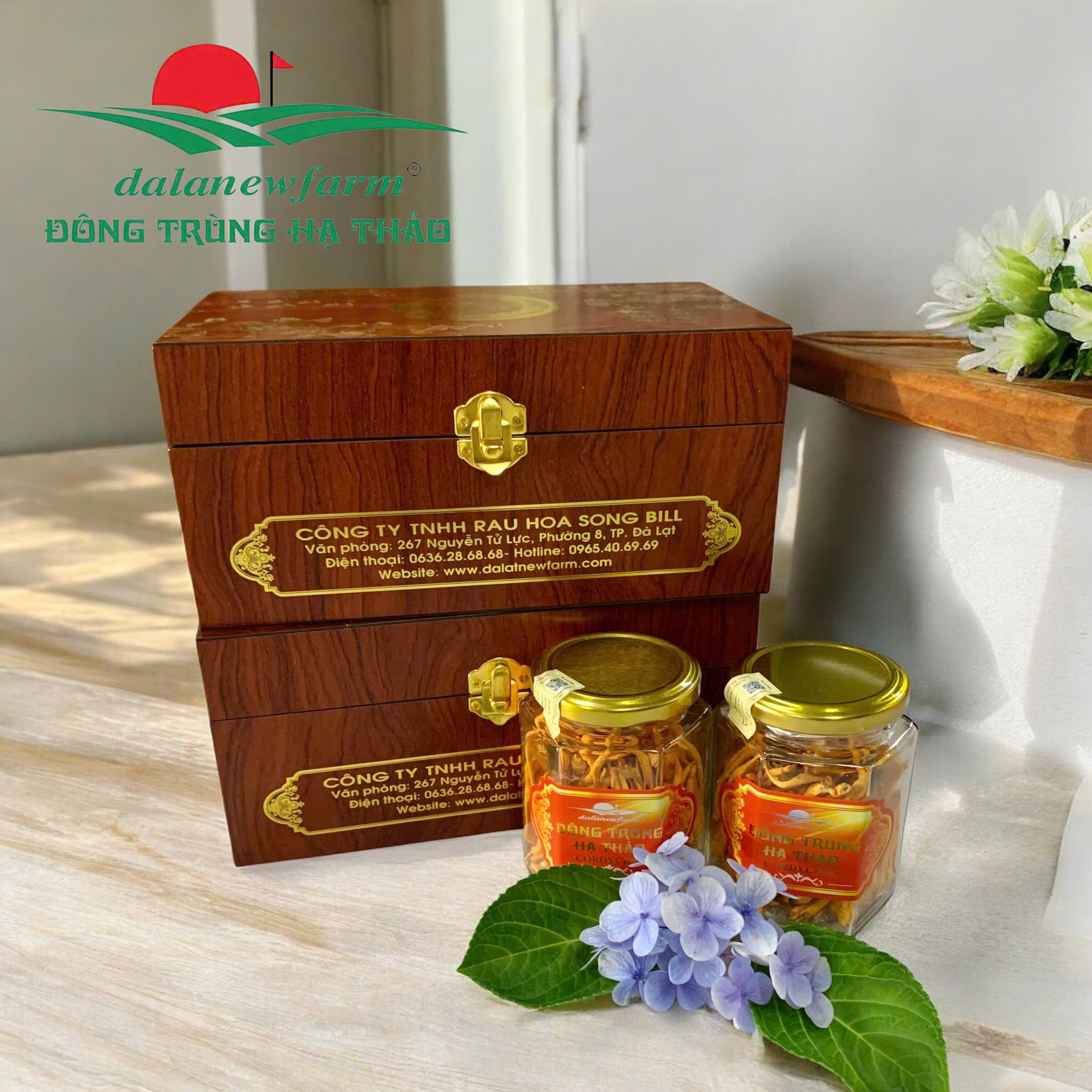 [ SET QUÀ TẶNG ] COMBO 2 hũ đông trùng hạ thảo 10gr ( size 3 ) + 3 hũ mật ong đông trùng hạ thảo 180ml Dalanewfarm