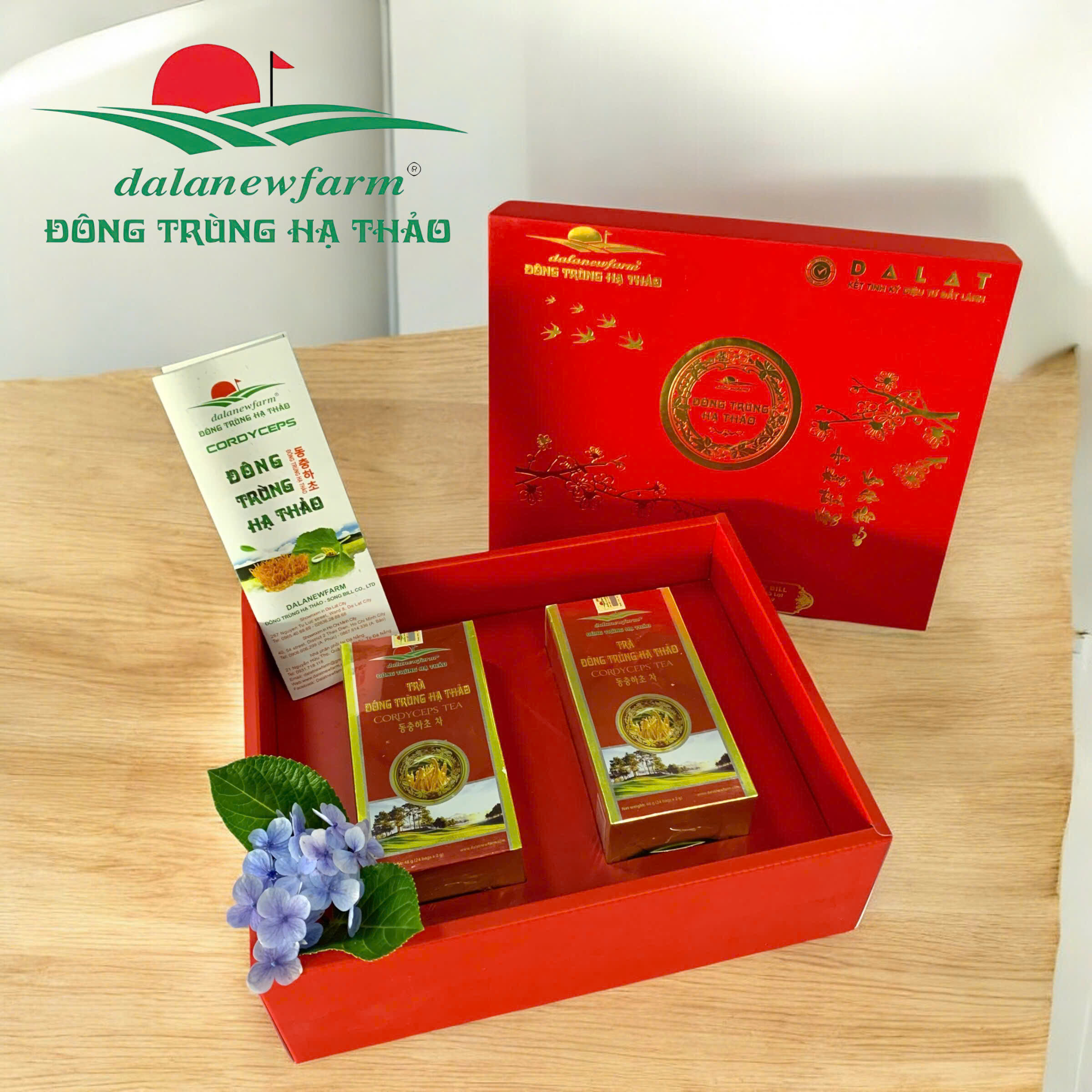 [ SET QUÀ TẶNG ] COMBO 2 Hộp trà đông trùng hạ thảo đỏ Dalanewfarm