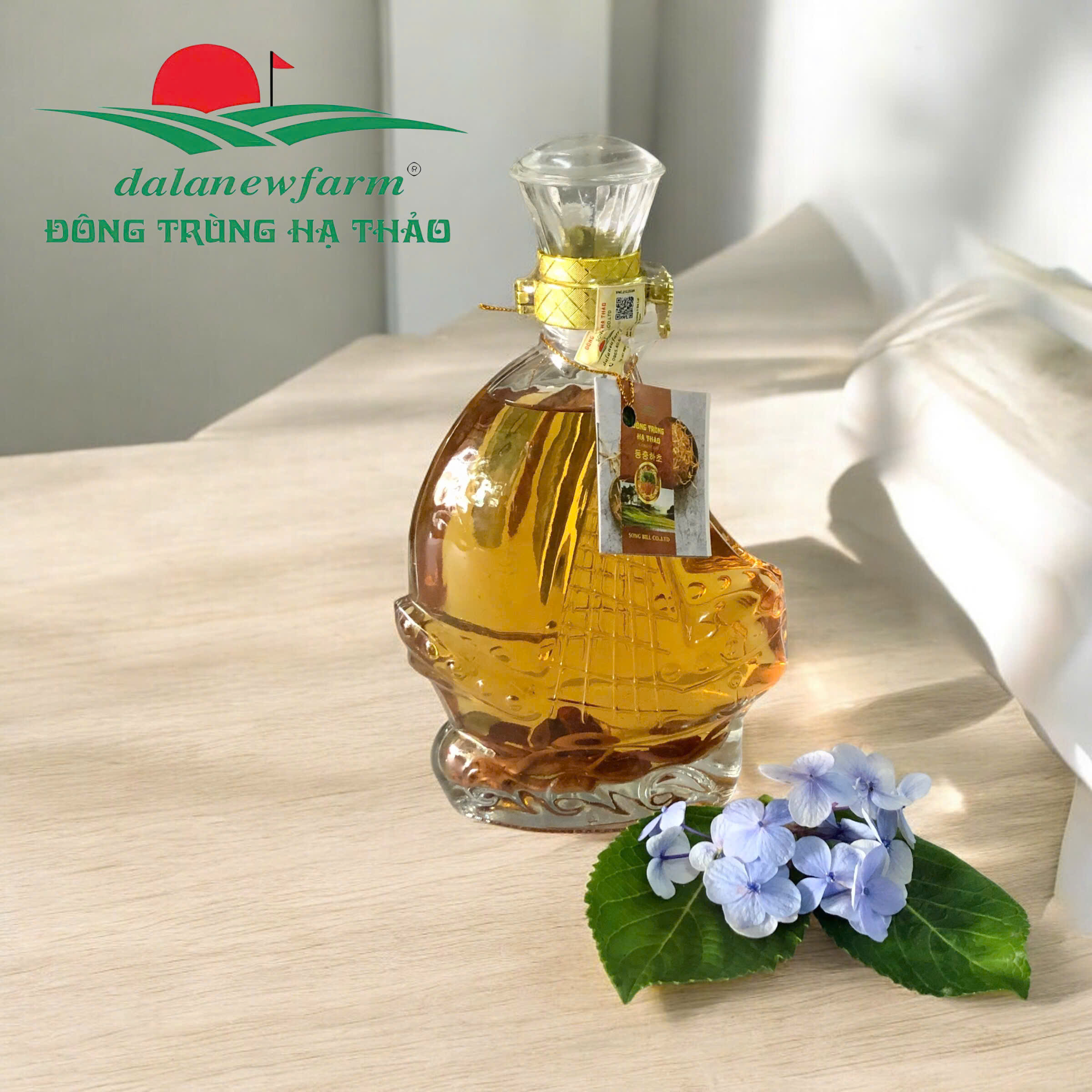 Rượu đông trùng hạ thảo chai thuyền Dalanewfarm