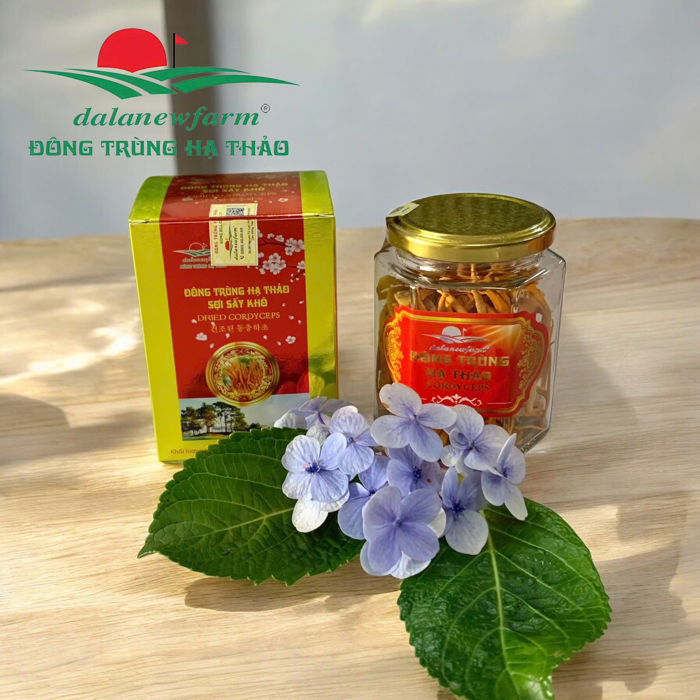 [ SET QUÀ TẶNG ] COMBO 5 hũ Đông trùng hạ thảo sấy thăng hoa (size 3) Dalatnewfarm