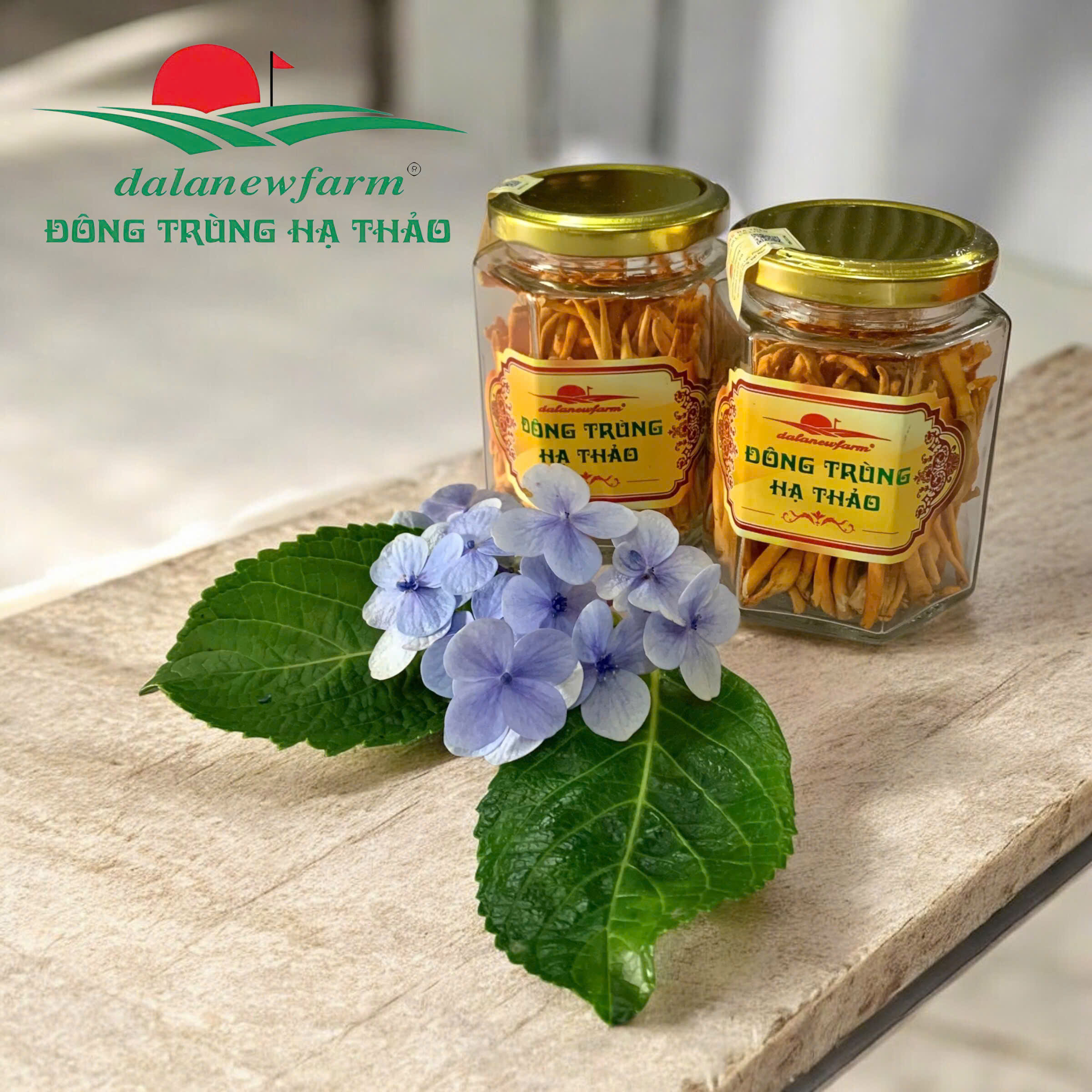 [ SET QUÀ TẶNG ] COMBO 2 hũ Đông trùng hạ thảo ( Size 2 ) Dalanewfarm