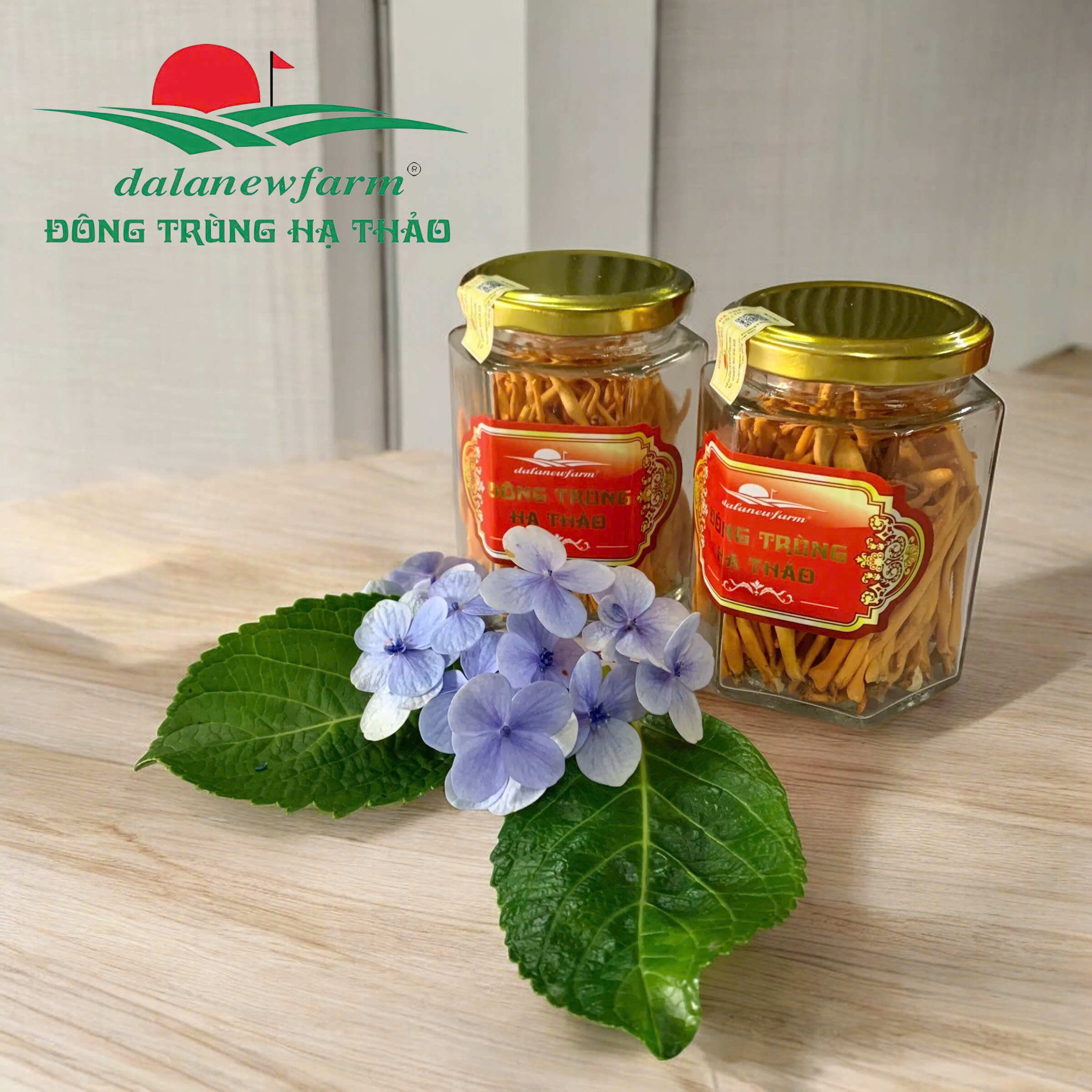 [ SET QUÀ TẶNG ] COMBO 2 Hũ đông trùng hạ thảo ( Size 1 ) Dalanewfarm