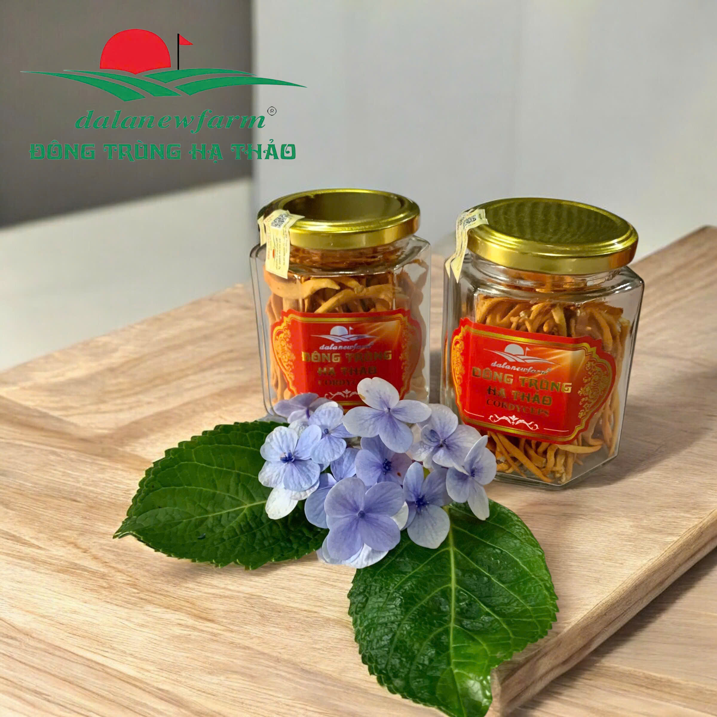 [ SET QUÀ TẶNG ] COMBO 3 hũ đông trùng hạ thảo 5gr ( size 3 ) + 2 hũ mật ong đông trùng hạ thảo 180ml Dalanewfarm