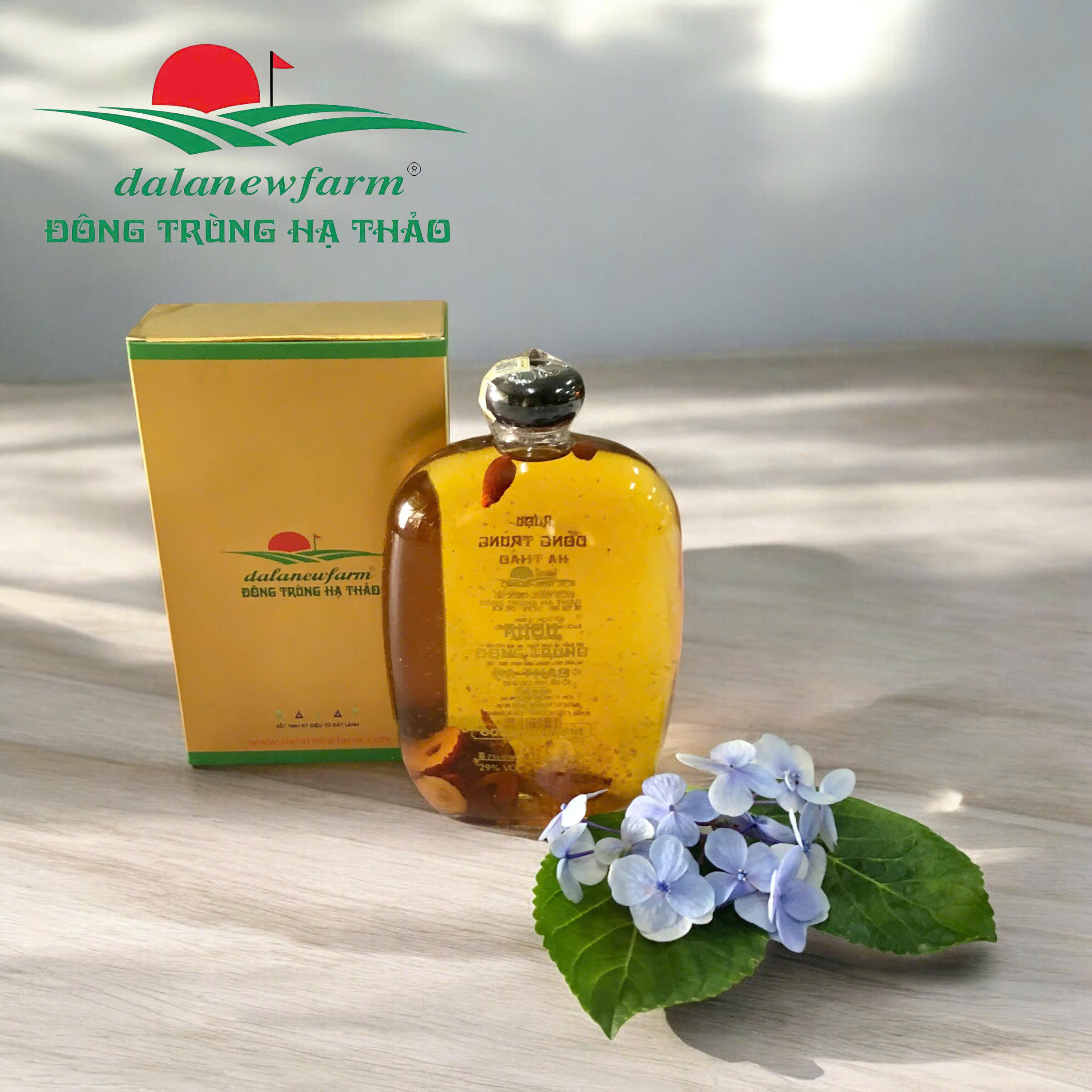 Rượu đông trùng hạ thảo 350ml Dalanewfarm
