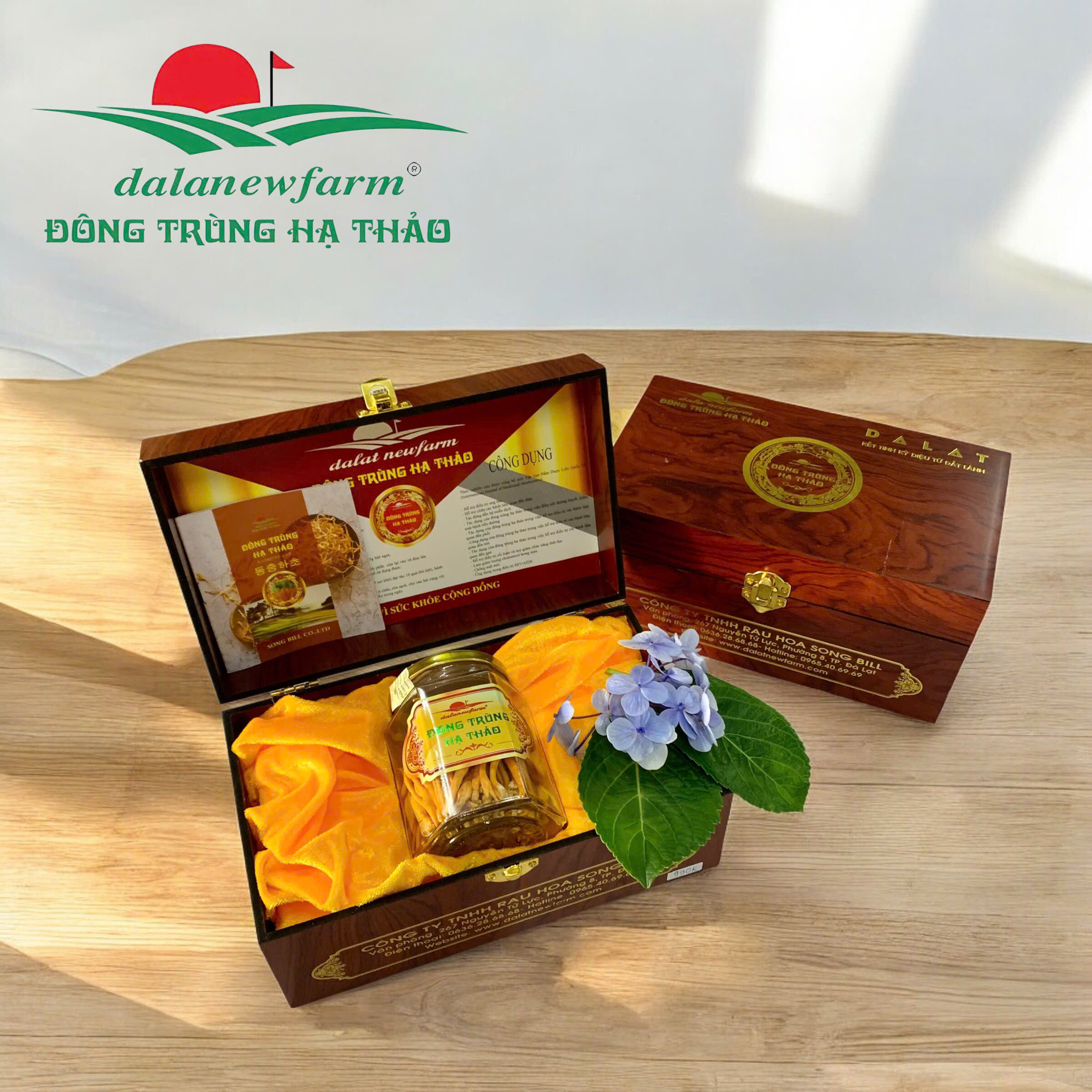 [ KÈM HỘP QUÀ TẶNG ] Đông Trùng Hạ Thảo Sấy Thăng Hoa SIZE 2 Dalanewfarm