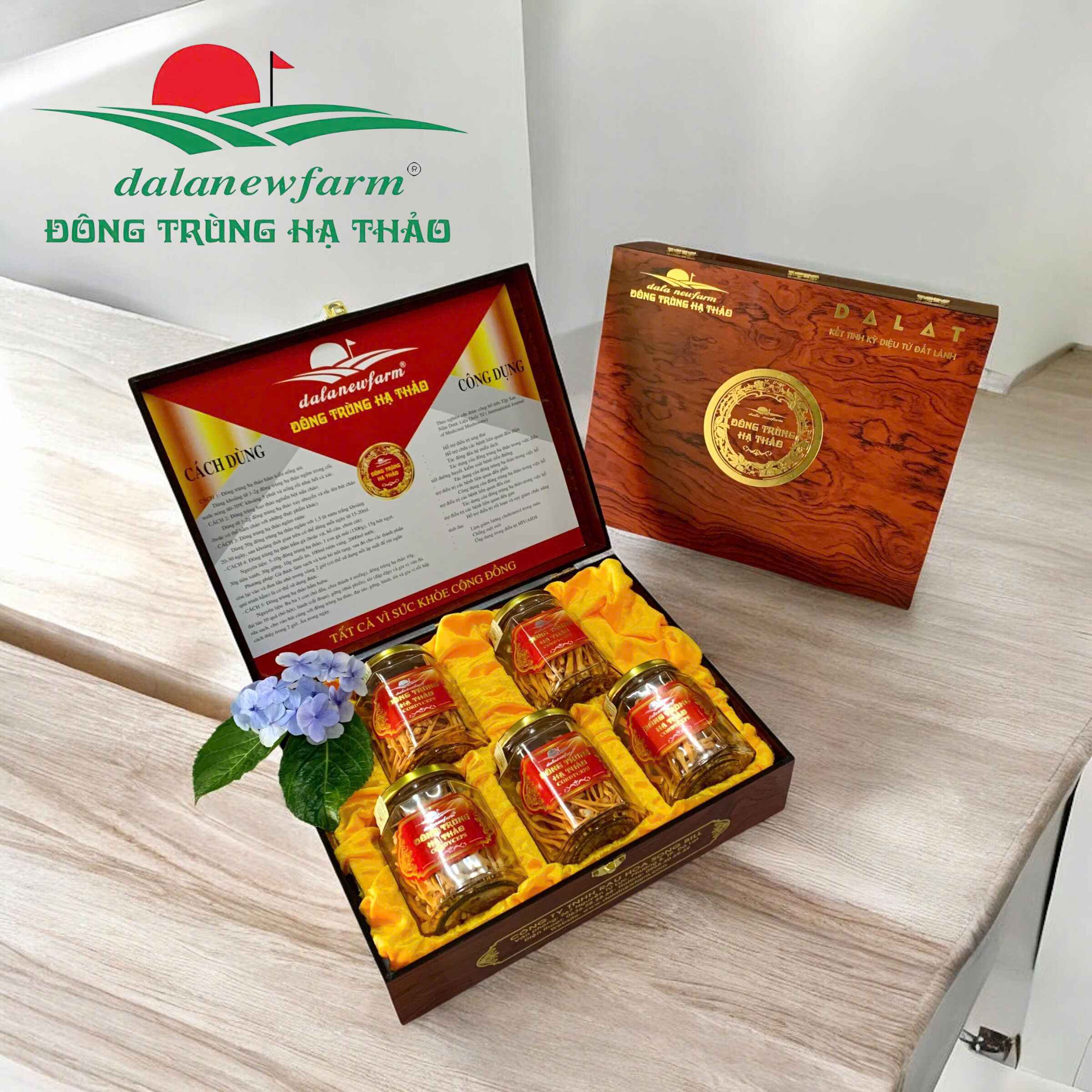 [ SET QUÀ TẶNG ] COMBO 5 hũ Đông trùng hạ thảo sấy thăng hoa (size 3) Dalatnewfarm