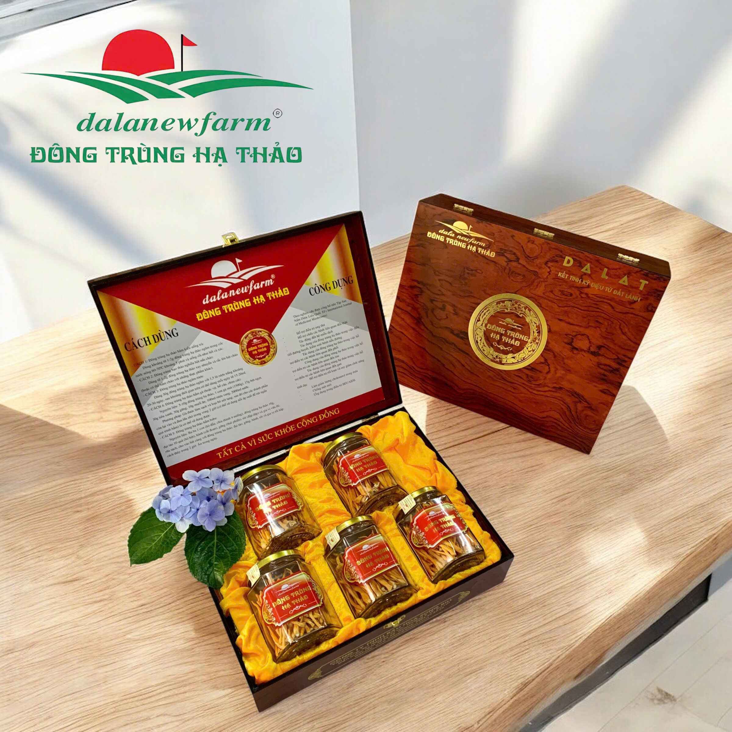 [ SET QUÀ TẶNG ] COMBO 5 hũ đông trùng hạ thảo ( Size 1 ) Dalanewfarm