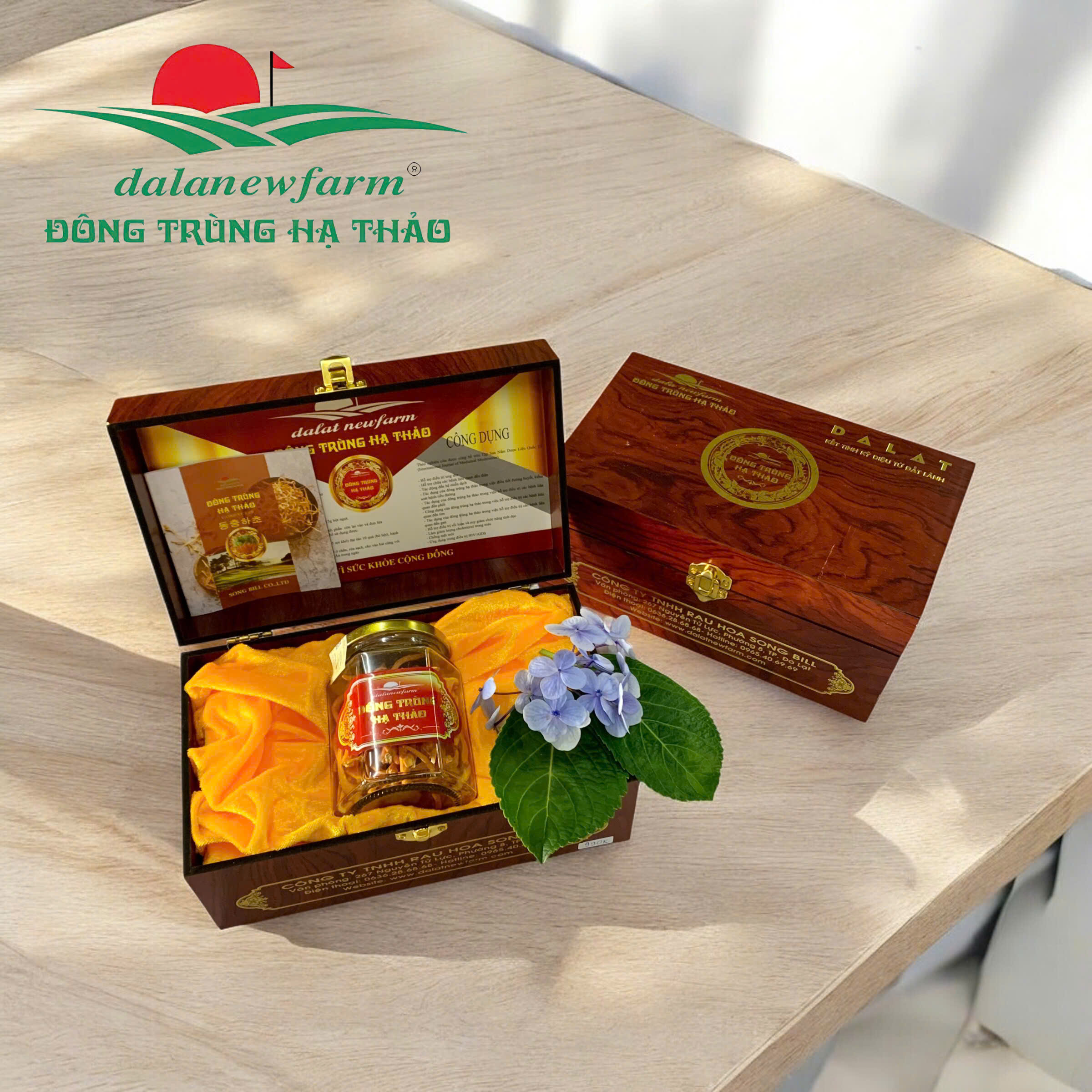 [ KÈM HỘP QUÀ TẶNG ] Đông Trùng Hạ Thảo Sấy Thăng Hoa SIZE 1 Dalanewfarm