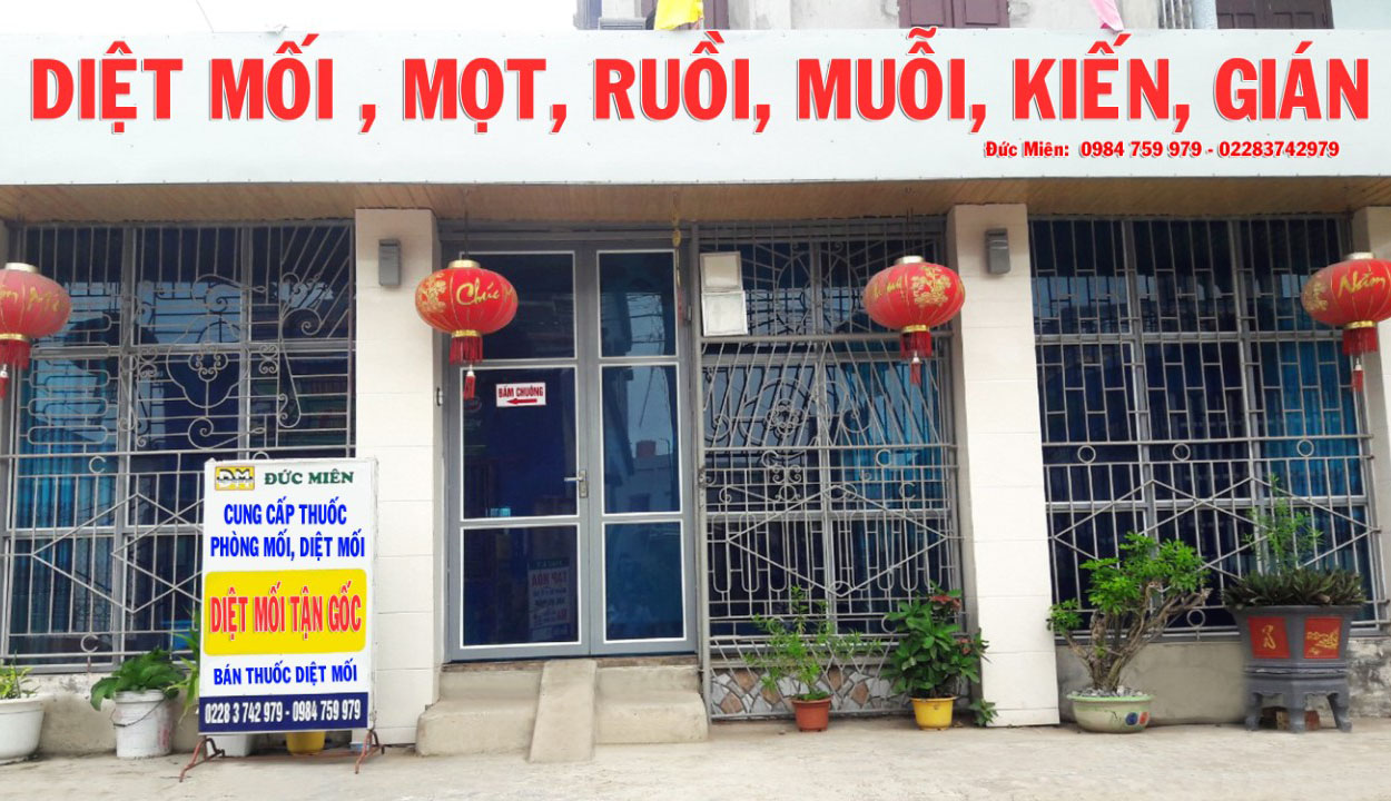 Công ty diệt mối tại Lạng Sơn