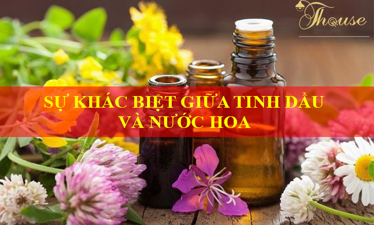 SỰ KHÁC BIỆT GIỮA TINH DẦU VÀ NƯỚC HOA
