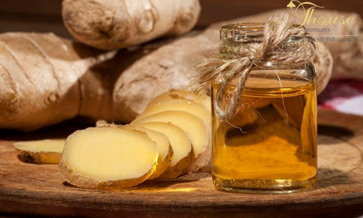 NÊN SỬ DỤNG NHỮNG TINH DẦU NÀO CHO MÙA ĐÔNG?