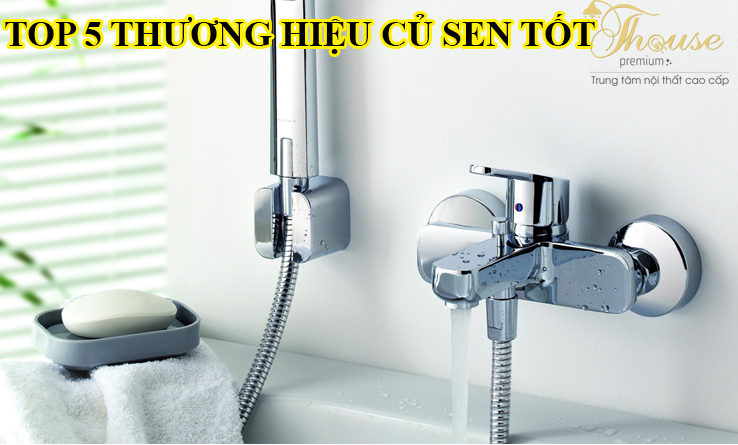 TOP 5 THƯƠNG HIỆU CỦ SEN TỐT ĐƯỢC NHIỀU NGƯỜI TIÊU DÙNG LỰA CHỌN VÀ ĐÁNH GIÁ TỐT.