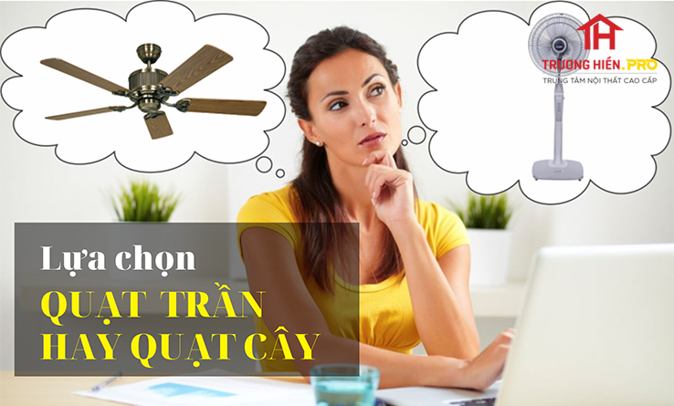 Lựa Chọn Quạt Trần Hay Quạt Cây?