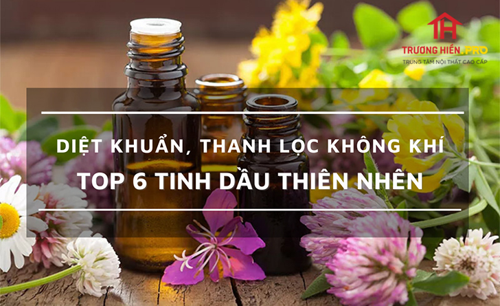 Top 6 loại Tinh dầu thiên nhiên diệt khuẩn, thanh lọc không khí