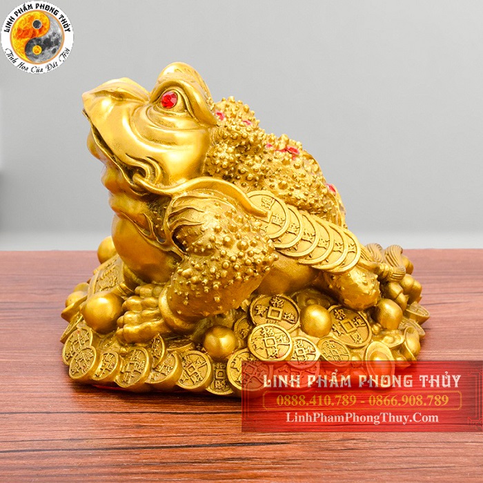 Bạn biết gì về cóc thiềm thừ trong phong thủy? Bạn biết gì về cóc thiềm thừ trong phong thủy?
