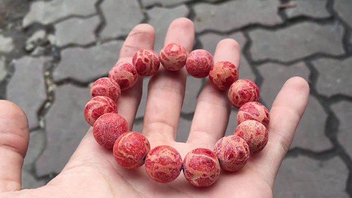 San hô thật có sắc đỏ, nổi rõ vân xương