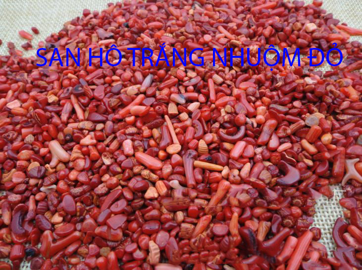 Phân biệt san hô đỏ tự nhiên thật giả trong thành phần thất bảo chuẩn 6 san ho do nhuom