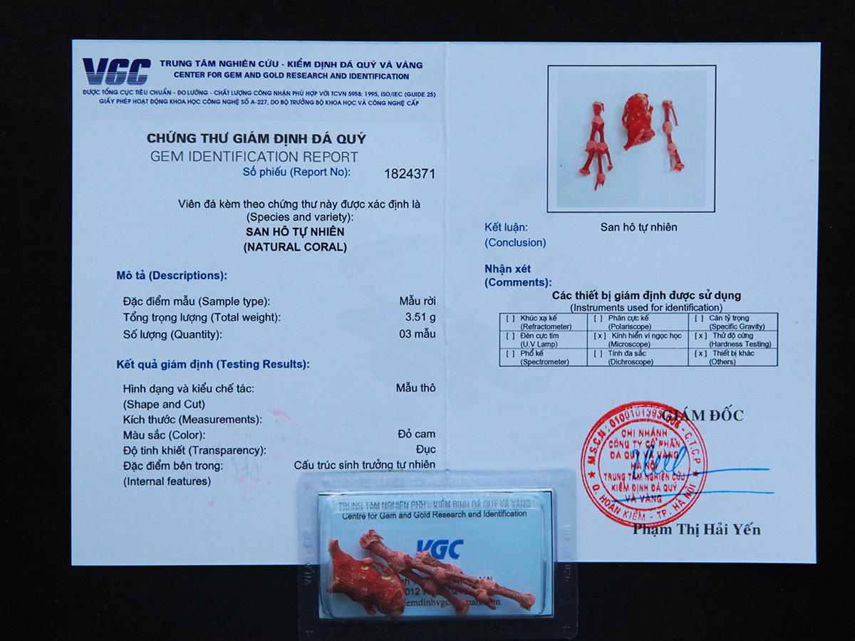 Phân biệt san hô đỏ tự nhiên thật giả trong thành phần thất bảo chuẩn 5 san ho do