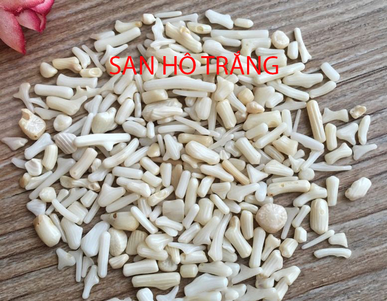 Phân biệt san hô đỏ tự nhiên thật giả trong thành phần thất bảo chuẩn 7 san ho trang