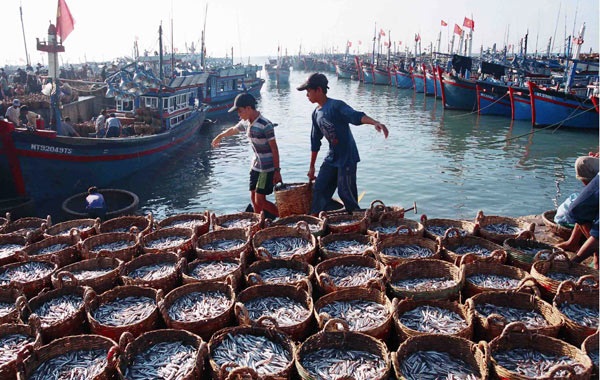 Xây dựng hệ thống thông tin nghề cá