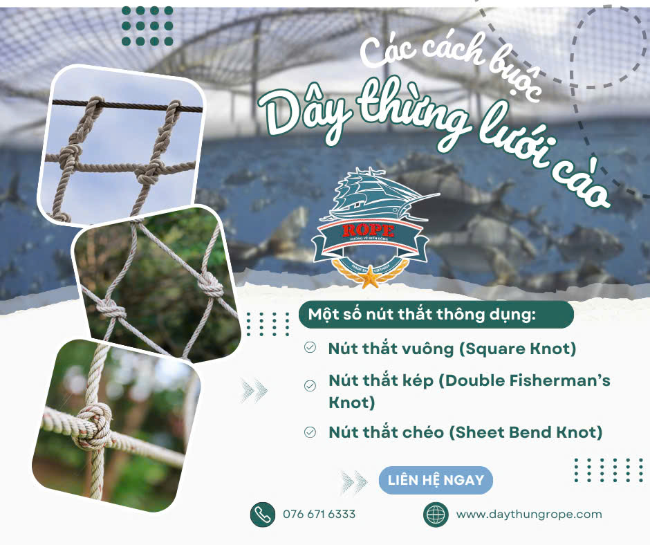 𝑩𝒂̣𝒏 Đ𝒂̃ 𝑩𝒊𝒆̂́𝒕 𝑪𝒂́𝒄𝒉 𝑺𝒖̛̉ 𝑫𝒖̣𝒏𝒈 𝑫𝒂̂𝒚 𝑻𝒉𝒖̛̀𝒏𝒈 Đ𝒆̂̉ 𝑩𝒖𝒐̣̂𝒄 𝑳𝒖̛𝒐̛́𝒊 𝑪𝒂̀𝒐 𝑪𝒉𝒖̛𝒂?