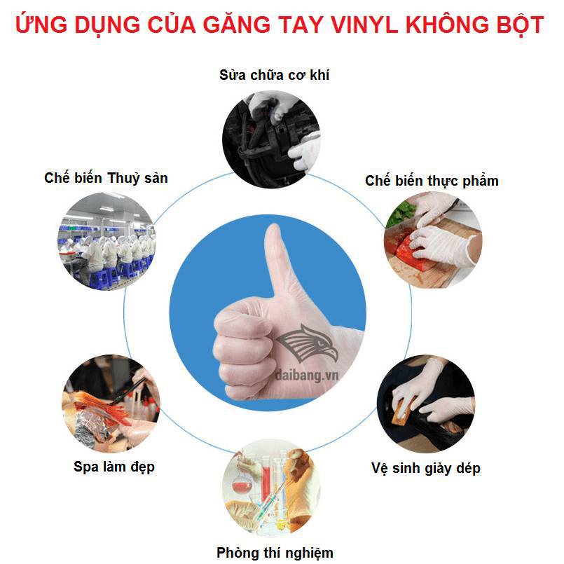 Ứng dụng của Găng tay Vinyl không bột