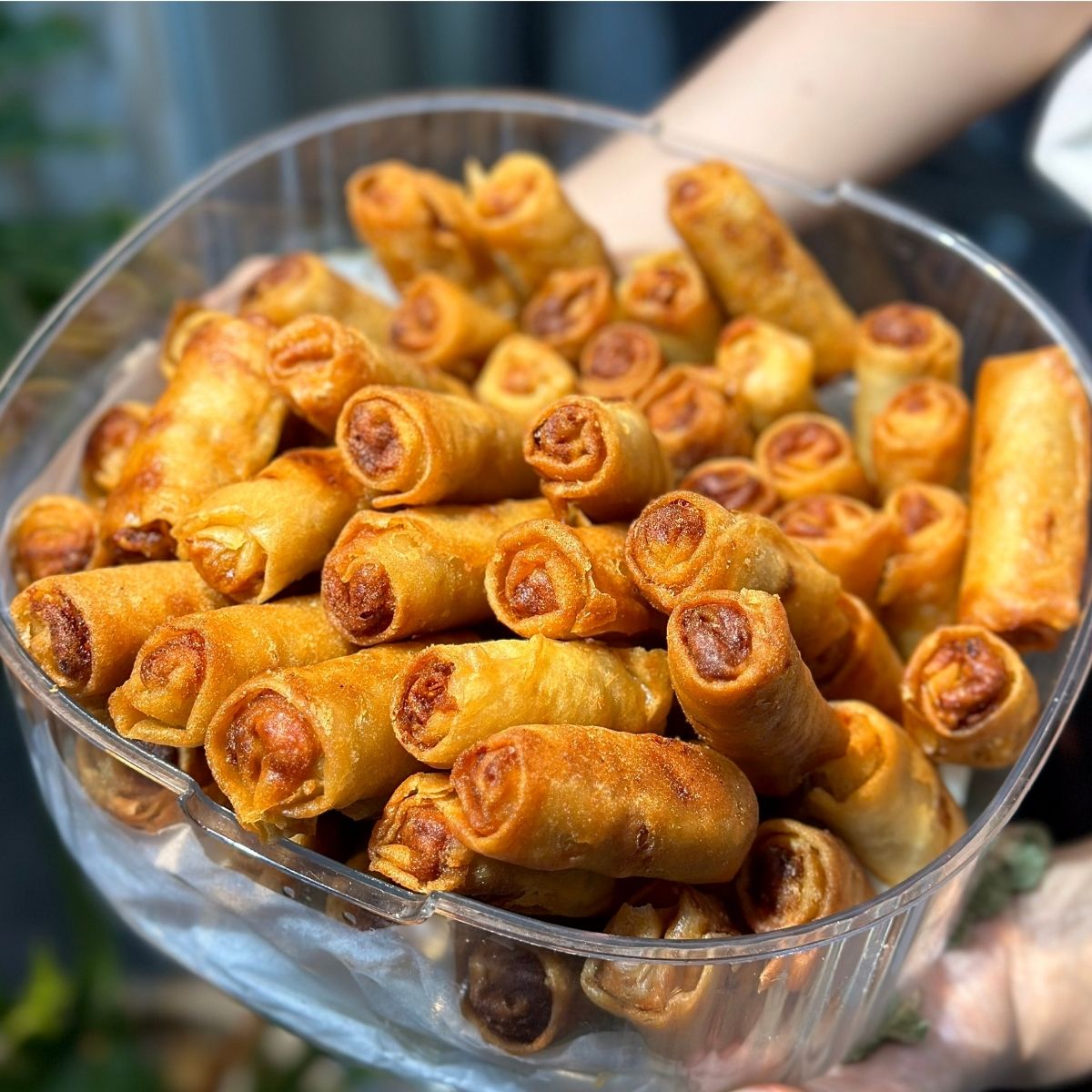 Chả Giò Chay (Phần)
