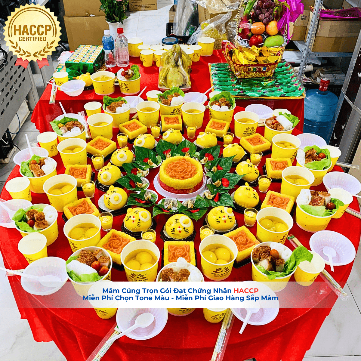 Mâm Cúng Đầy Tháng VIP4