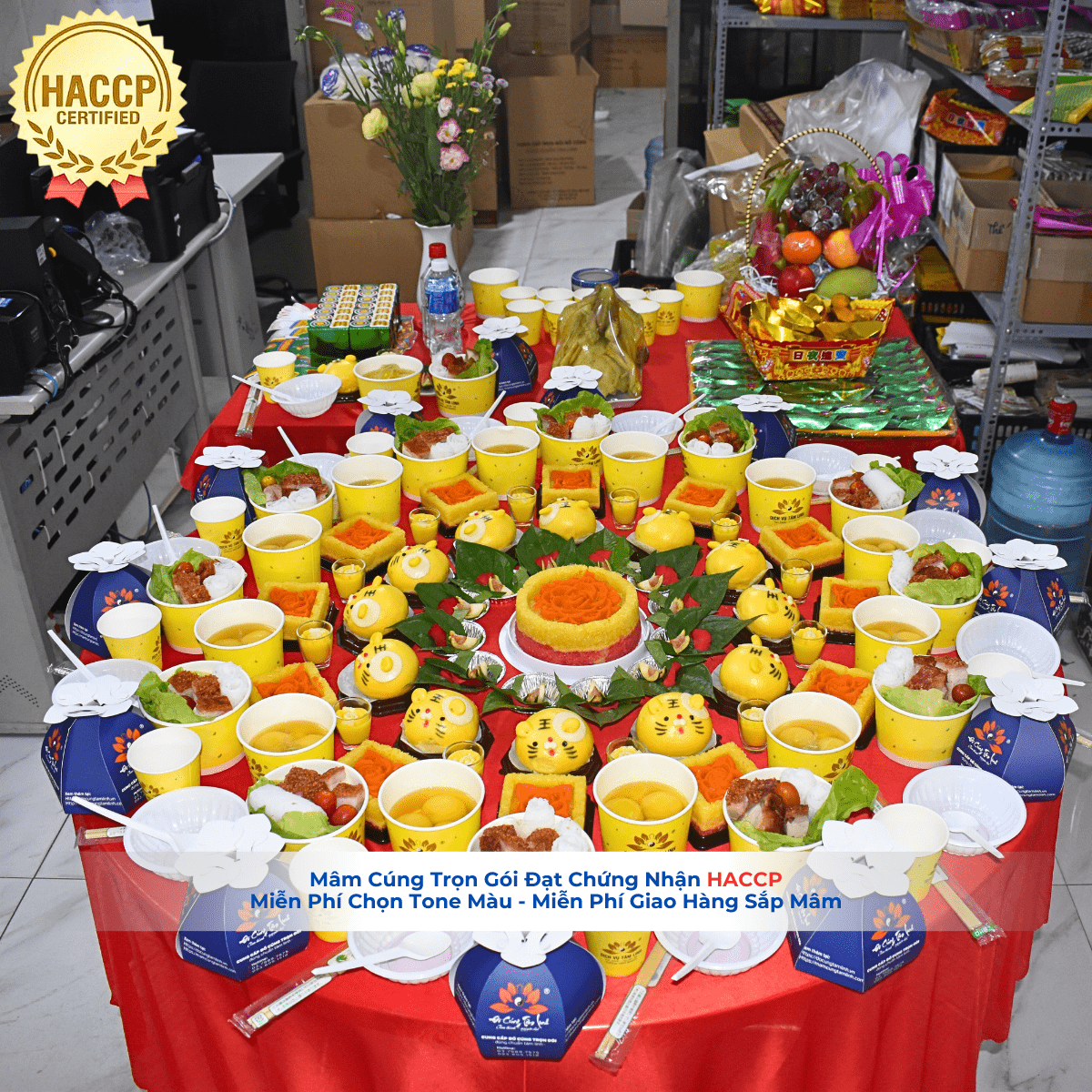 Mâm Cúng Đầy Tháng VIP4