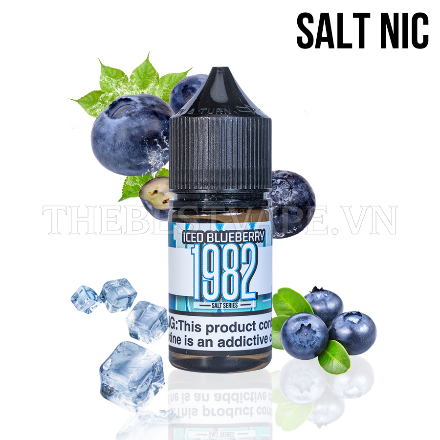 1982 - BLUEBERRY ICE ( Việt Quất Lạnh ) - Salt Nicotine