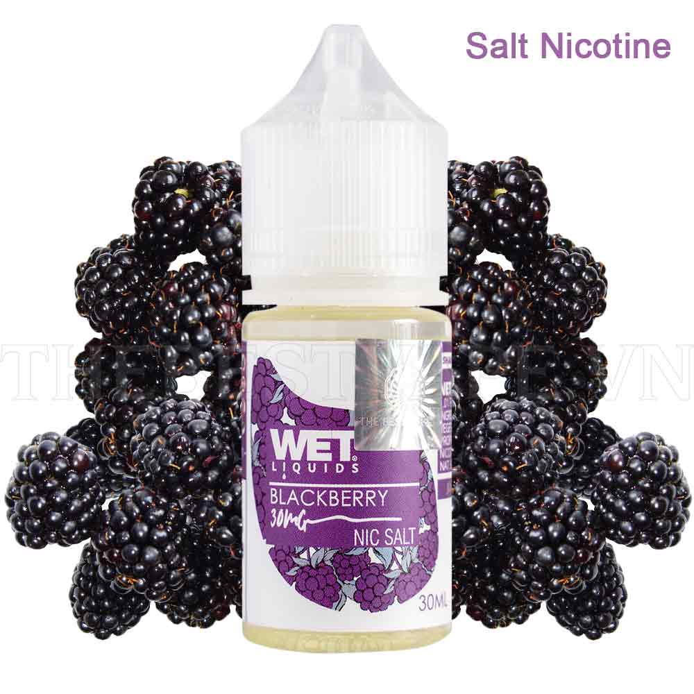 Wet Liquids - BLACKBERRY ICED ( Mâm Xôi Đen Lạnh ) - Salt Nicotine