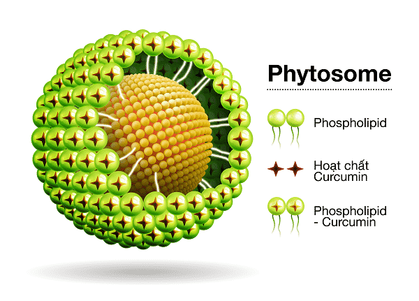 Ưu Điểm Của Công Nghệ Phytosome