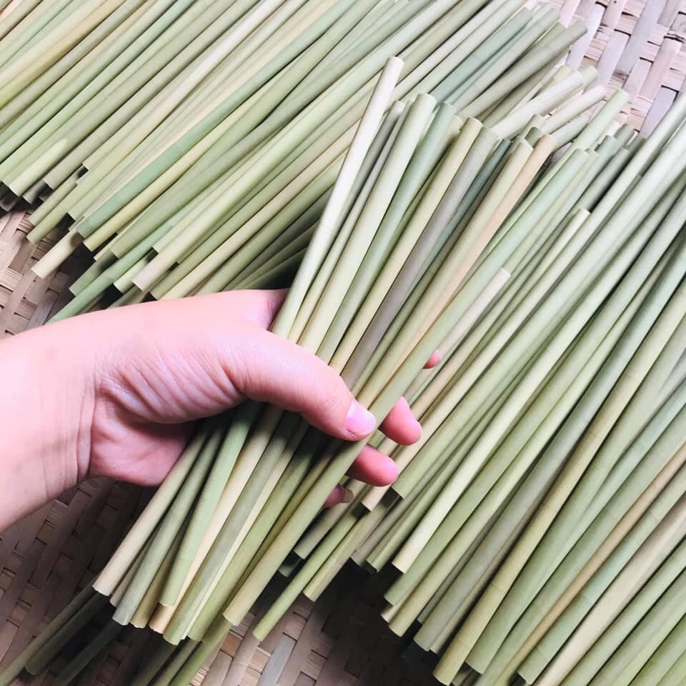 ỐNG HÚT CỎ BÀNG (hộp 100 cái)