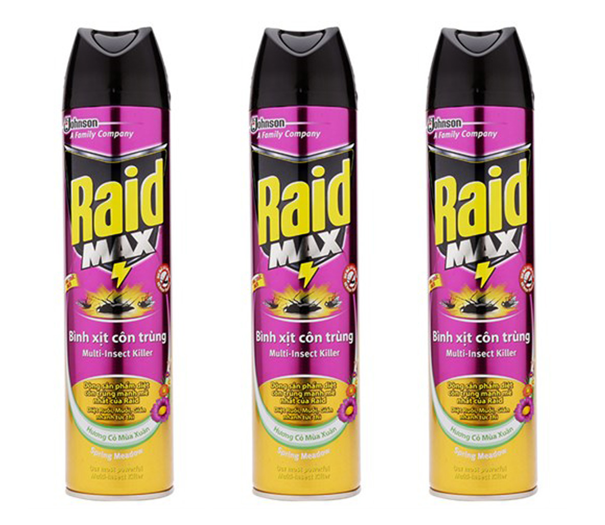 Bình xịt côn trùng Raid hương Cỏ mùa xuân chai 600ml
