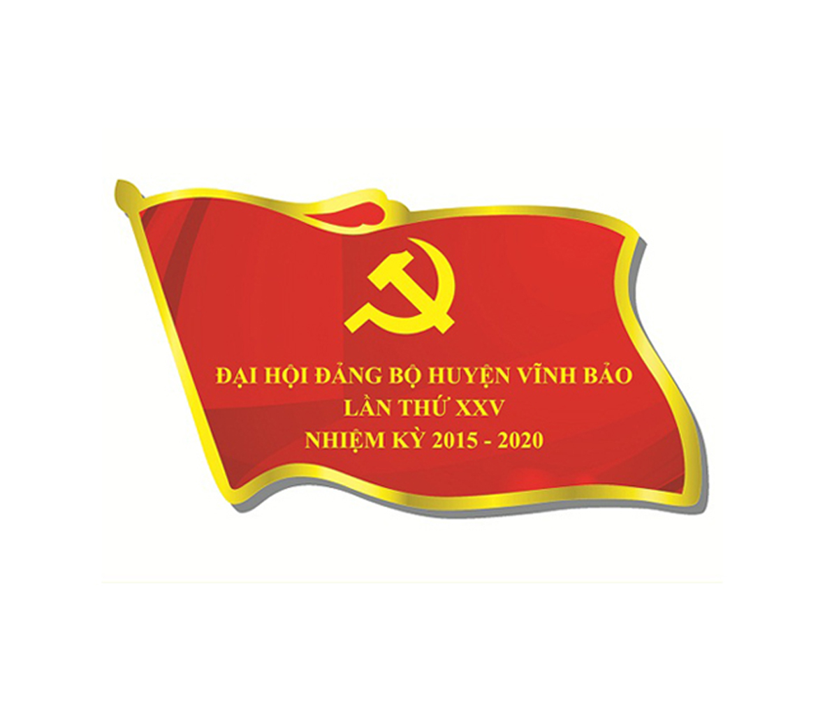 Huy hiệu mẫu 13